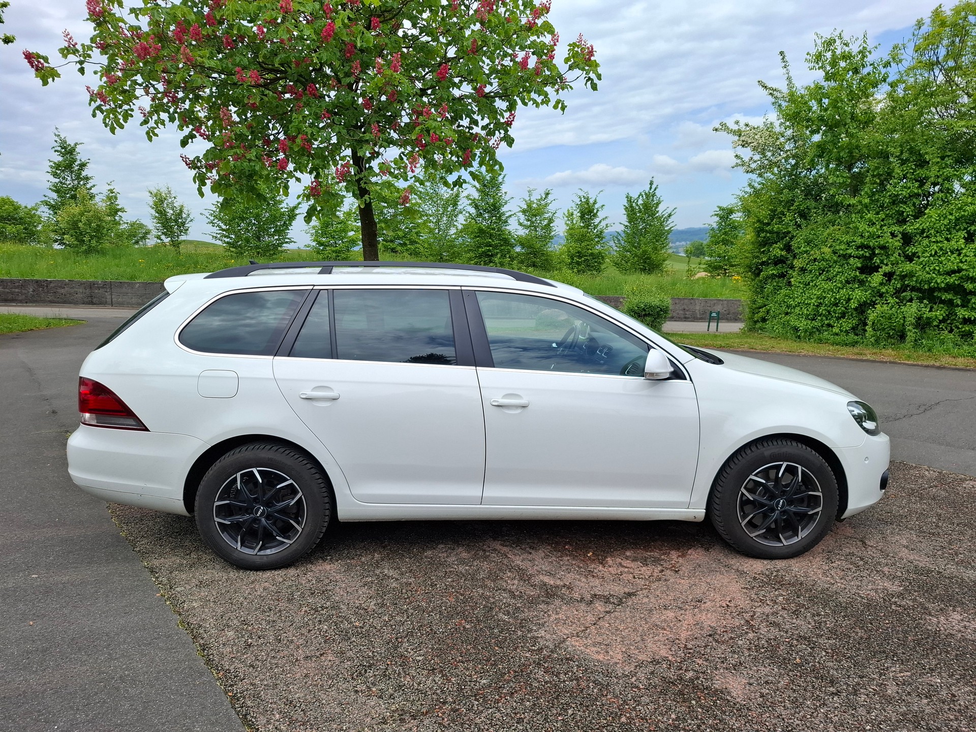 VW Golf Variant 1.6 TDI Team 4Motion-image-6