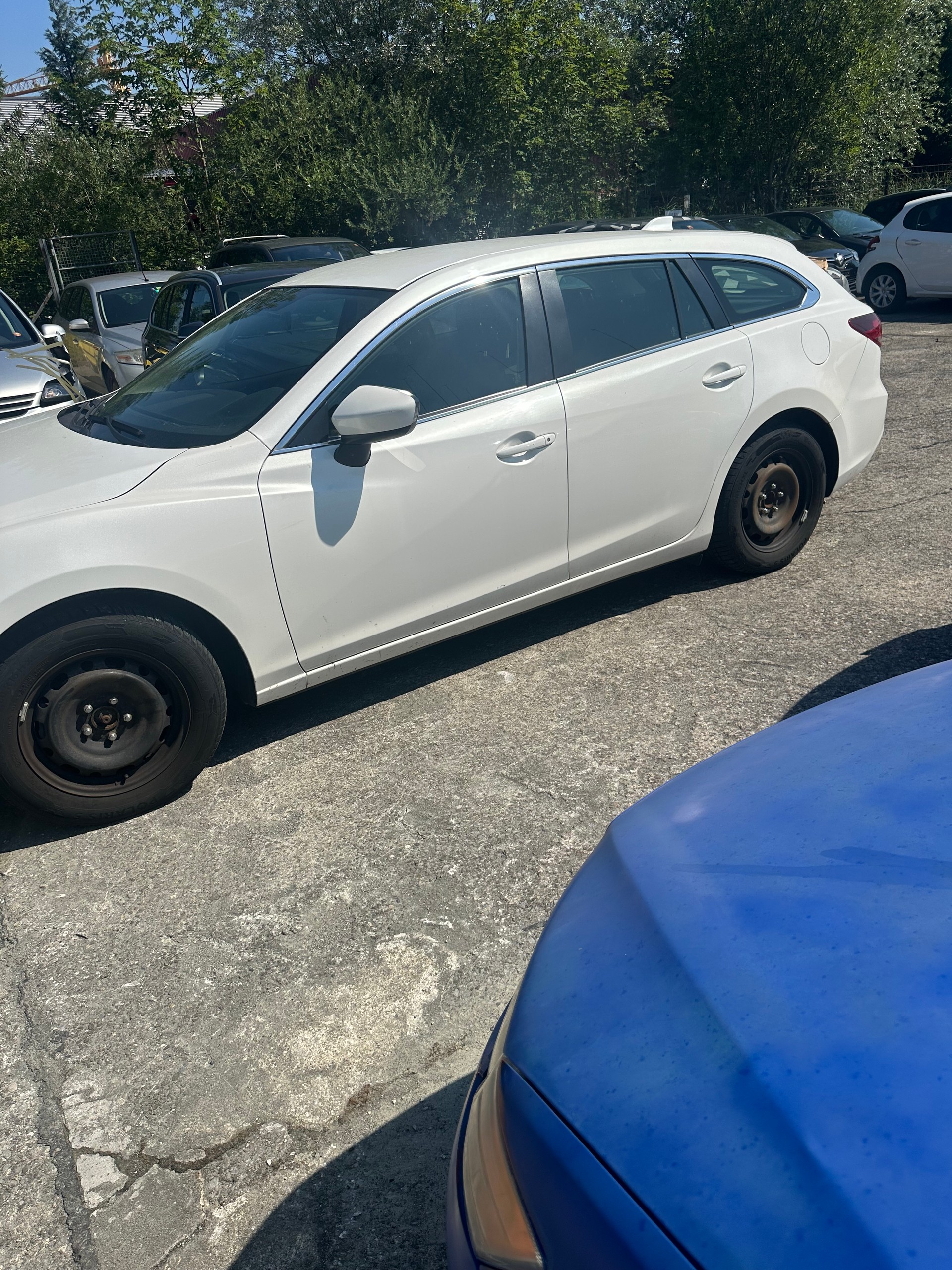 MAZDA 6 Sportwagon 2.2 D 16V Business Automatic-image-4