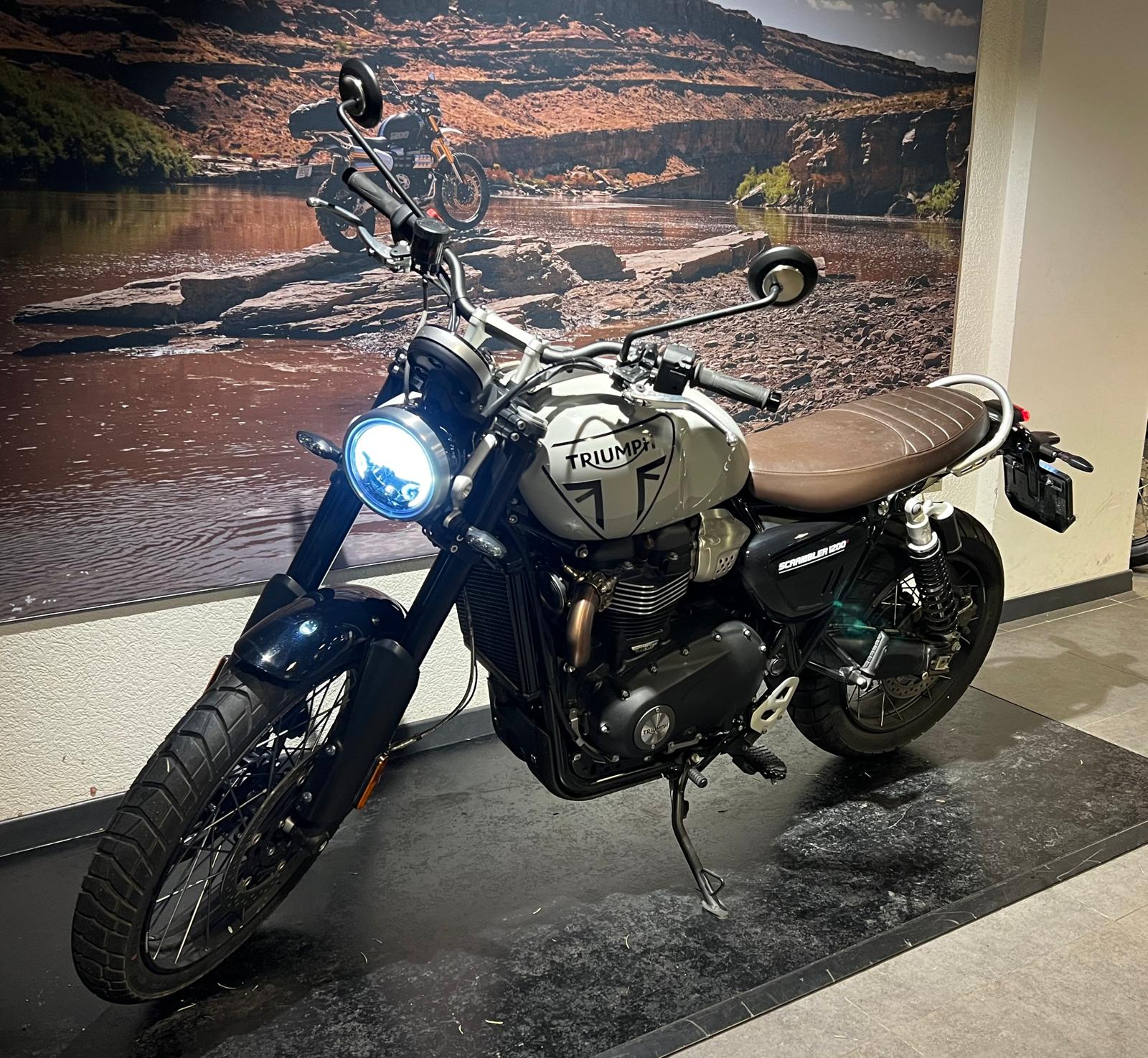TRIUMPH Scrambler 1200 X-image-2
