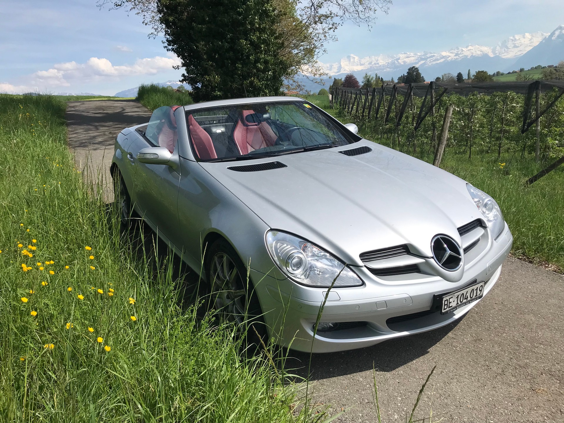 MERCEDES-BENZ SLK 280-image-5