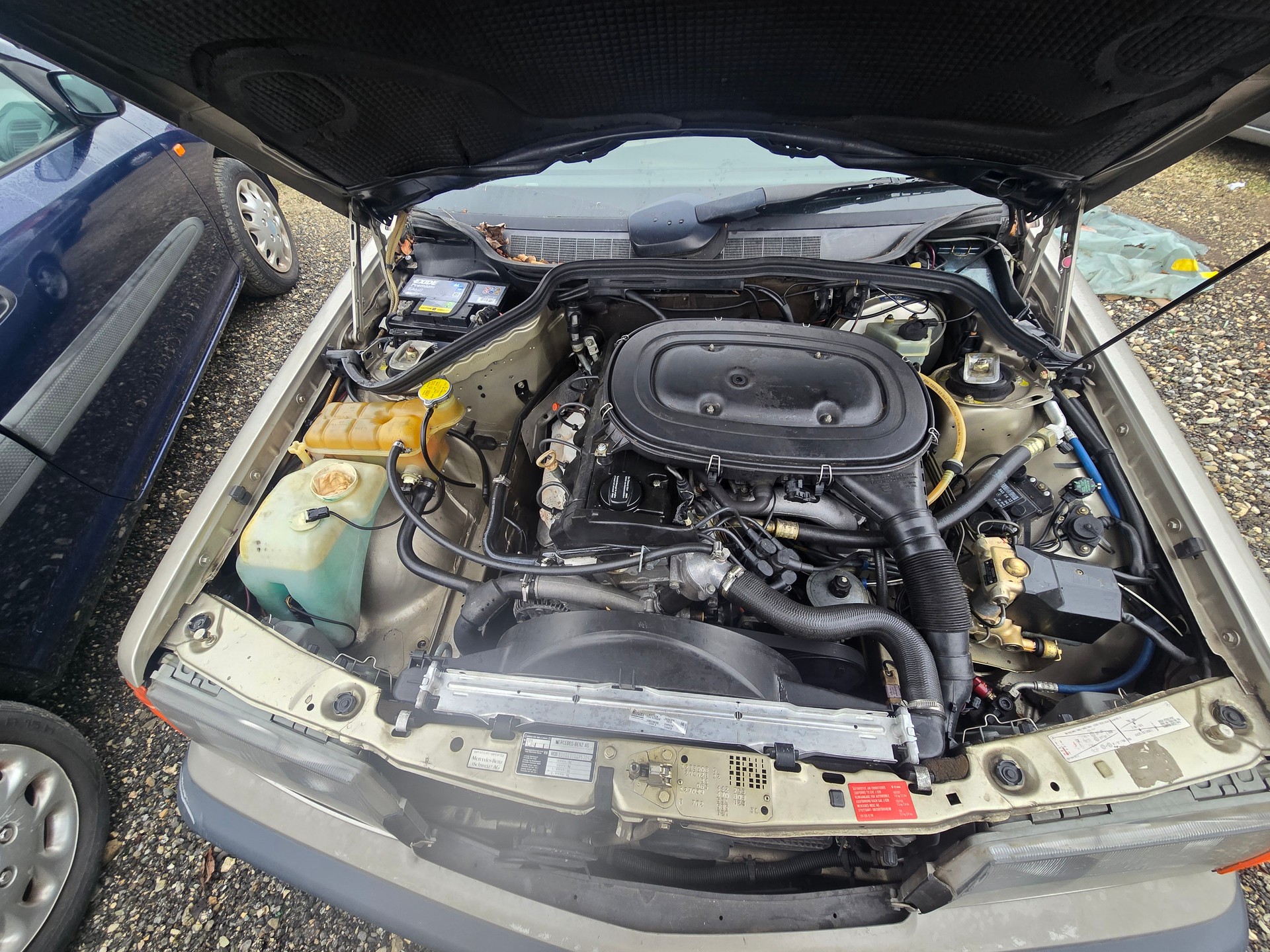 MERCEDES-BENZ 190 E 2.3 Primavera Automatic-image-10