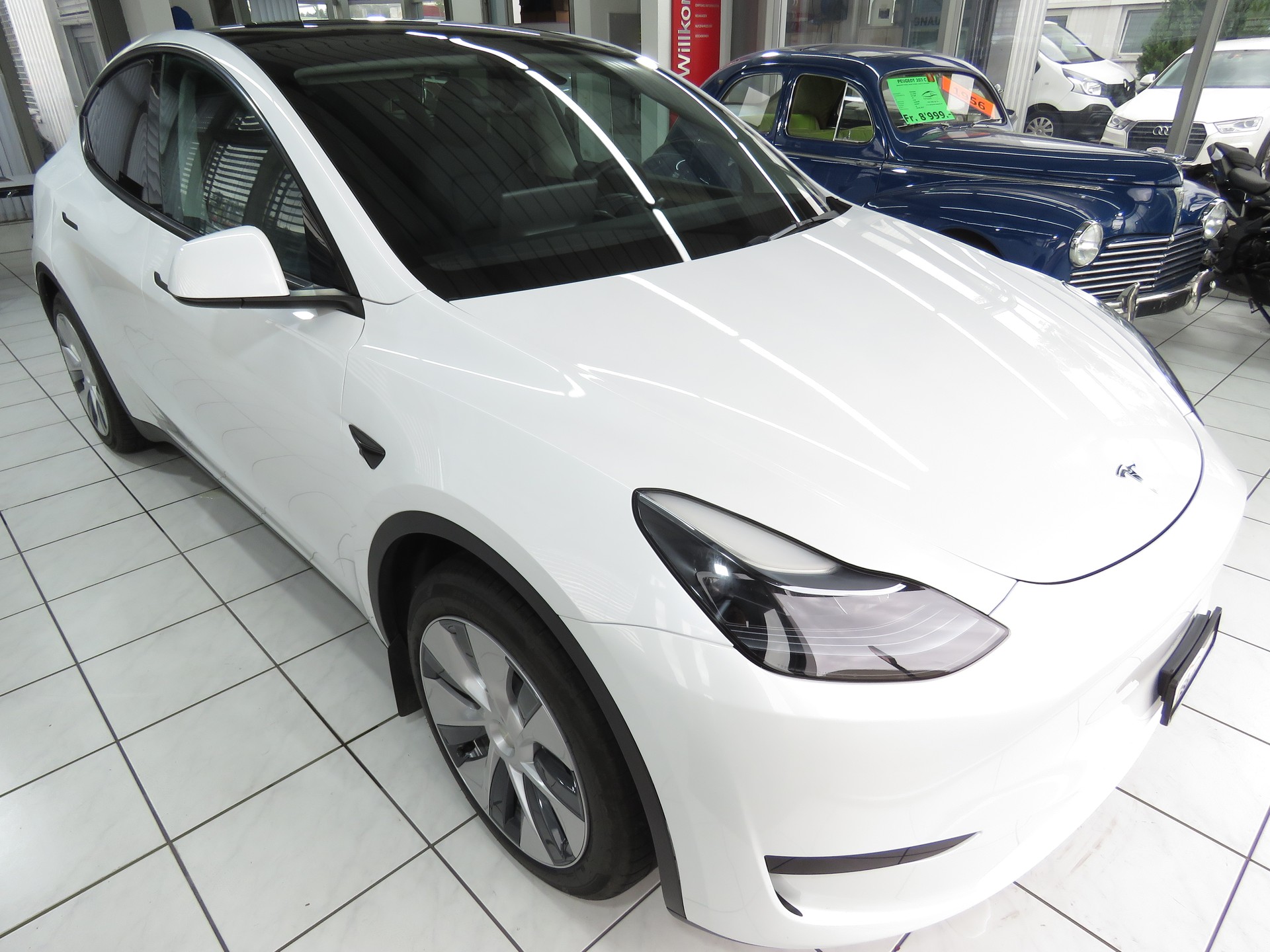 TESLA Model Y RWD-showroom-element-2