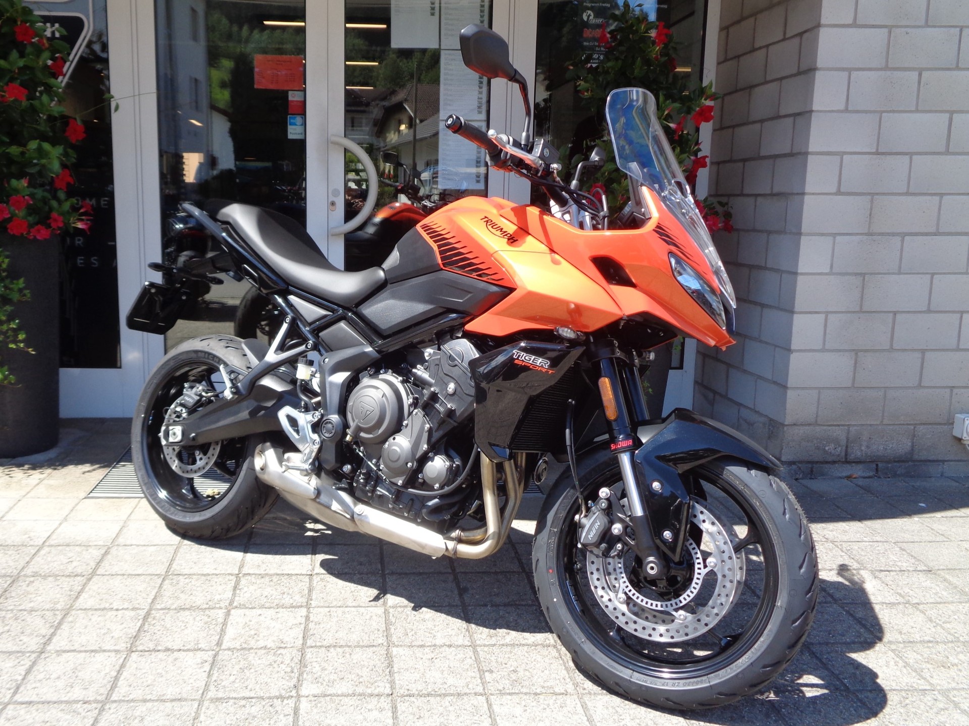 TRIUMPH Tiger Sport 660-image-3