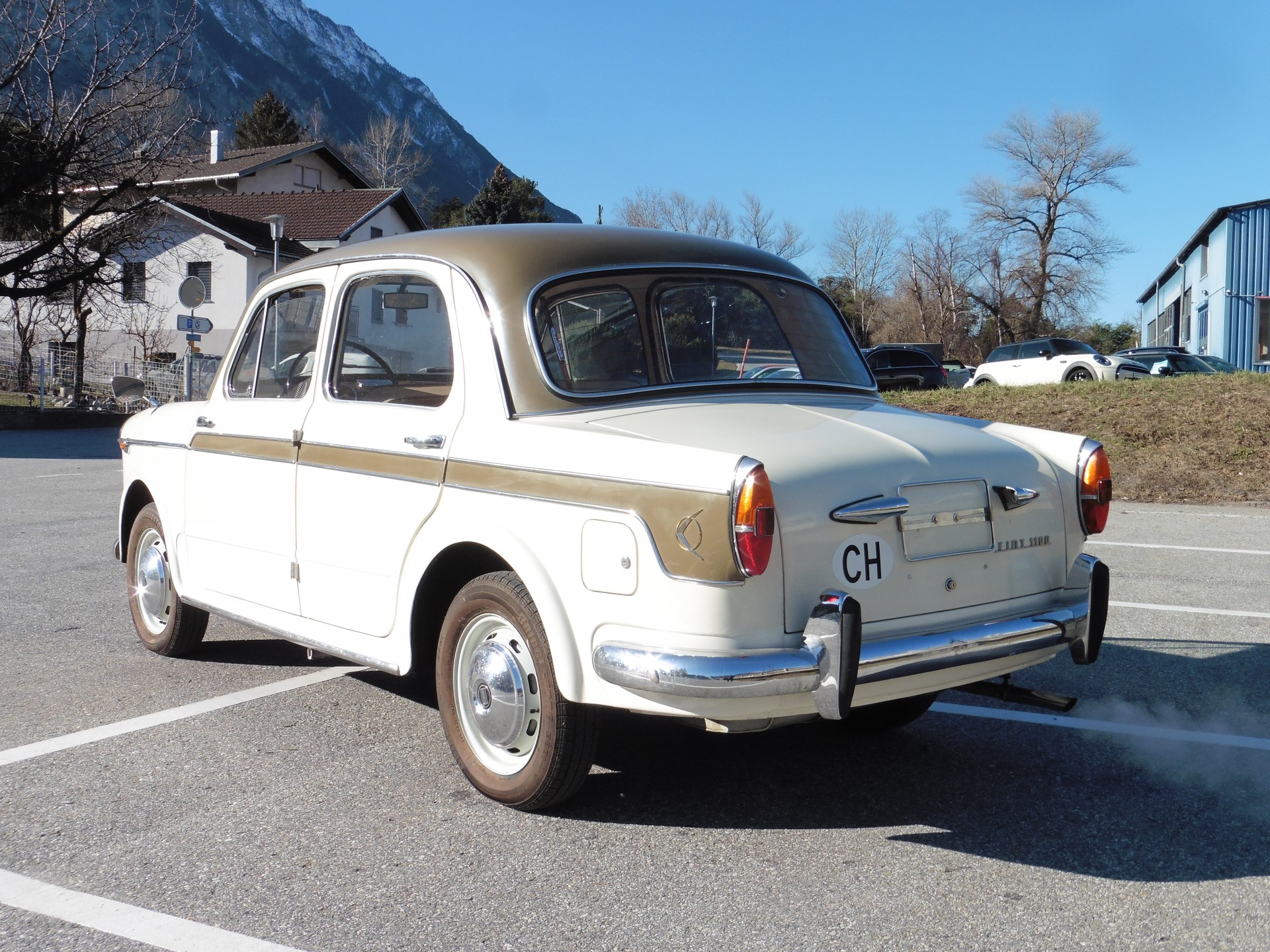 FIAT 1100 Lusso-image-4