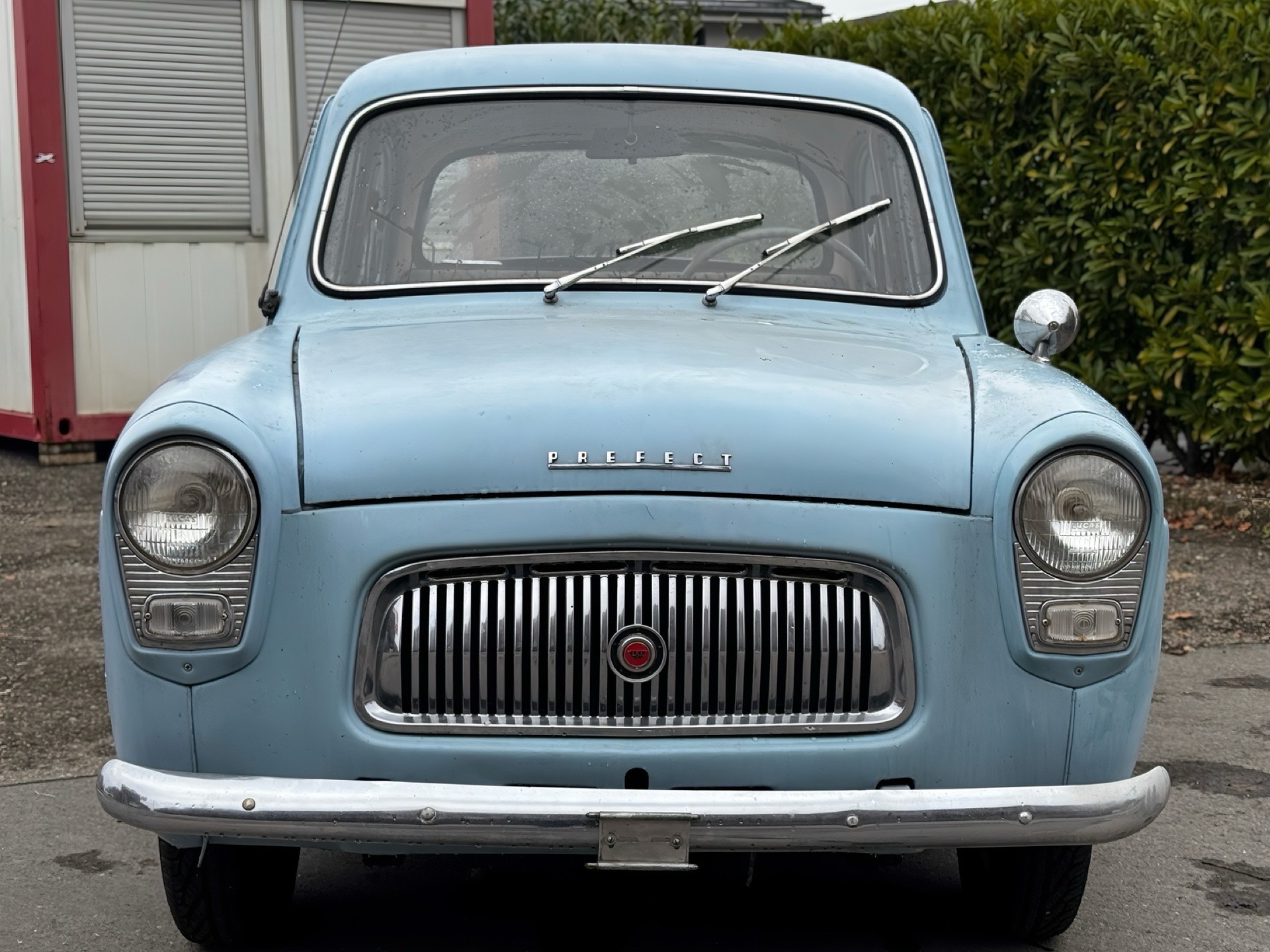 FORD Prefect 101E-image-6