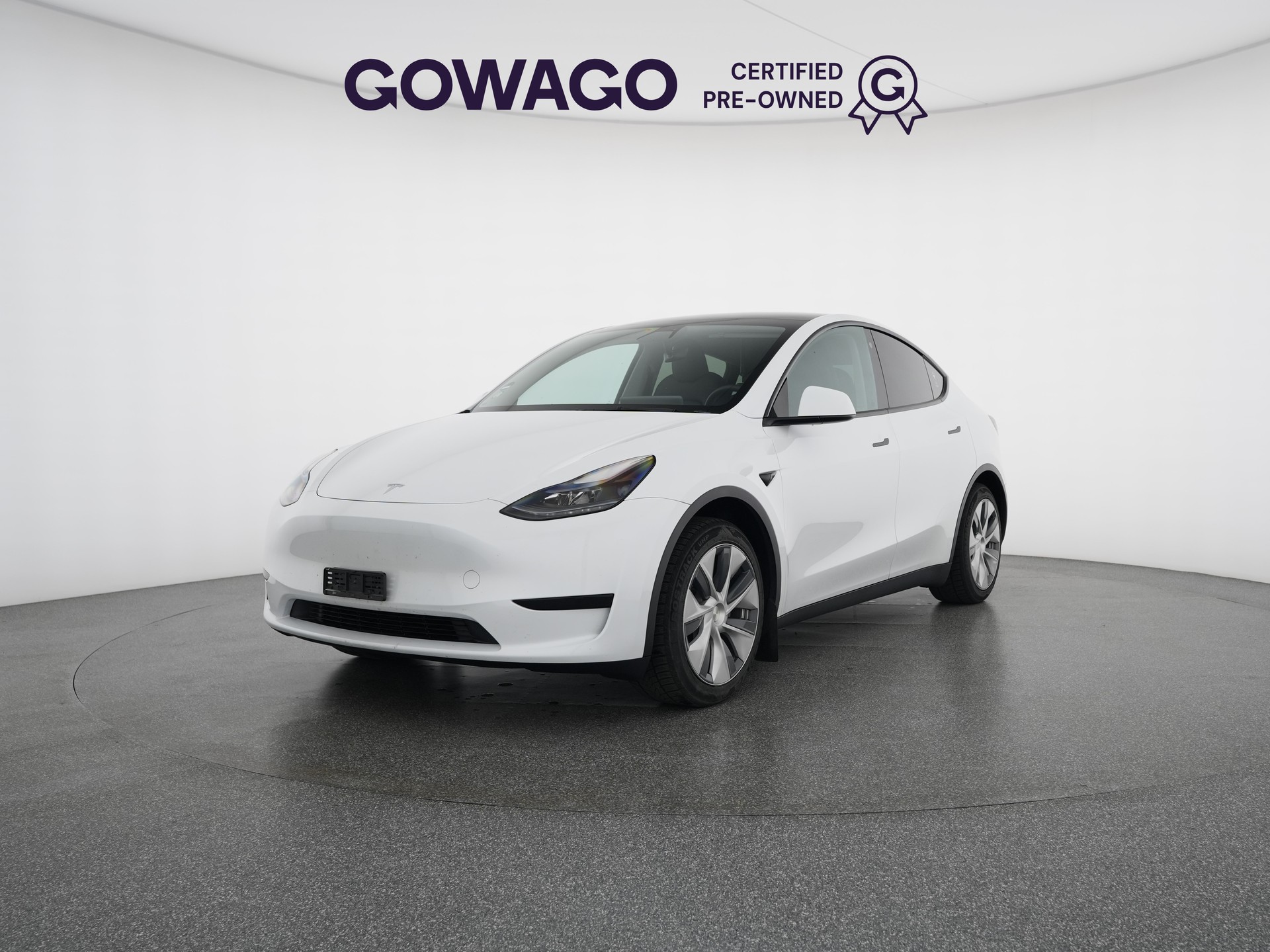 TESLA Model Y Rear-Wheel Drive