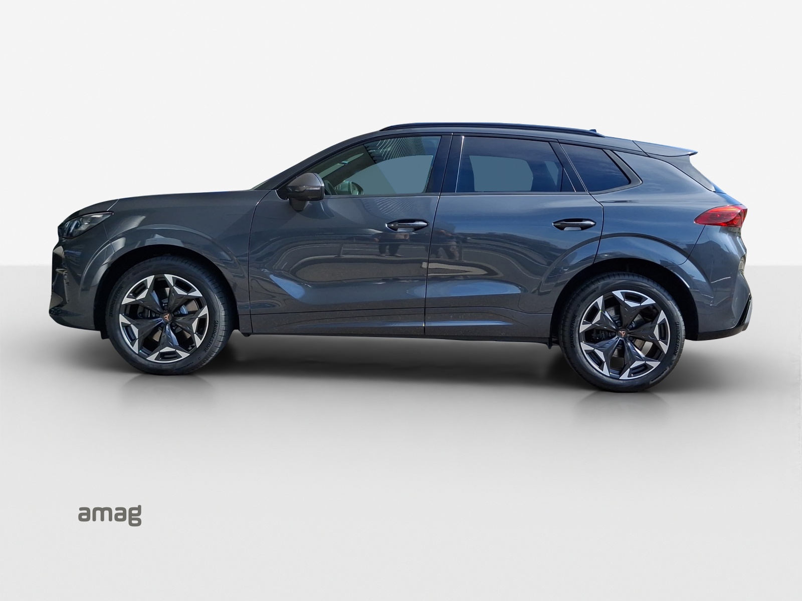 CUPRA Terramar 2.0 TSI DSG 4Drive VZ-showroom-element-1