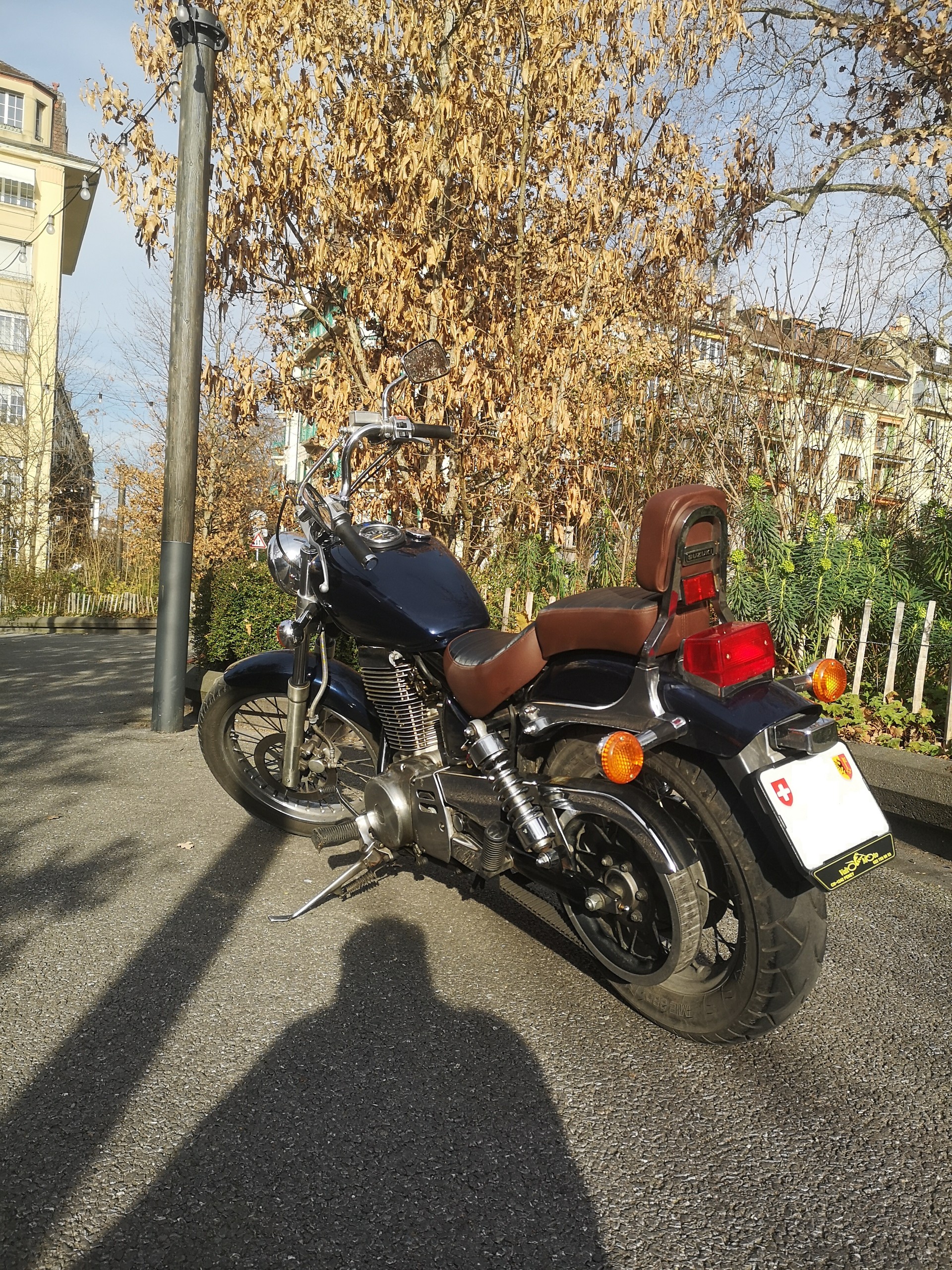 SUZUKI LS 650 P Savage-image-1