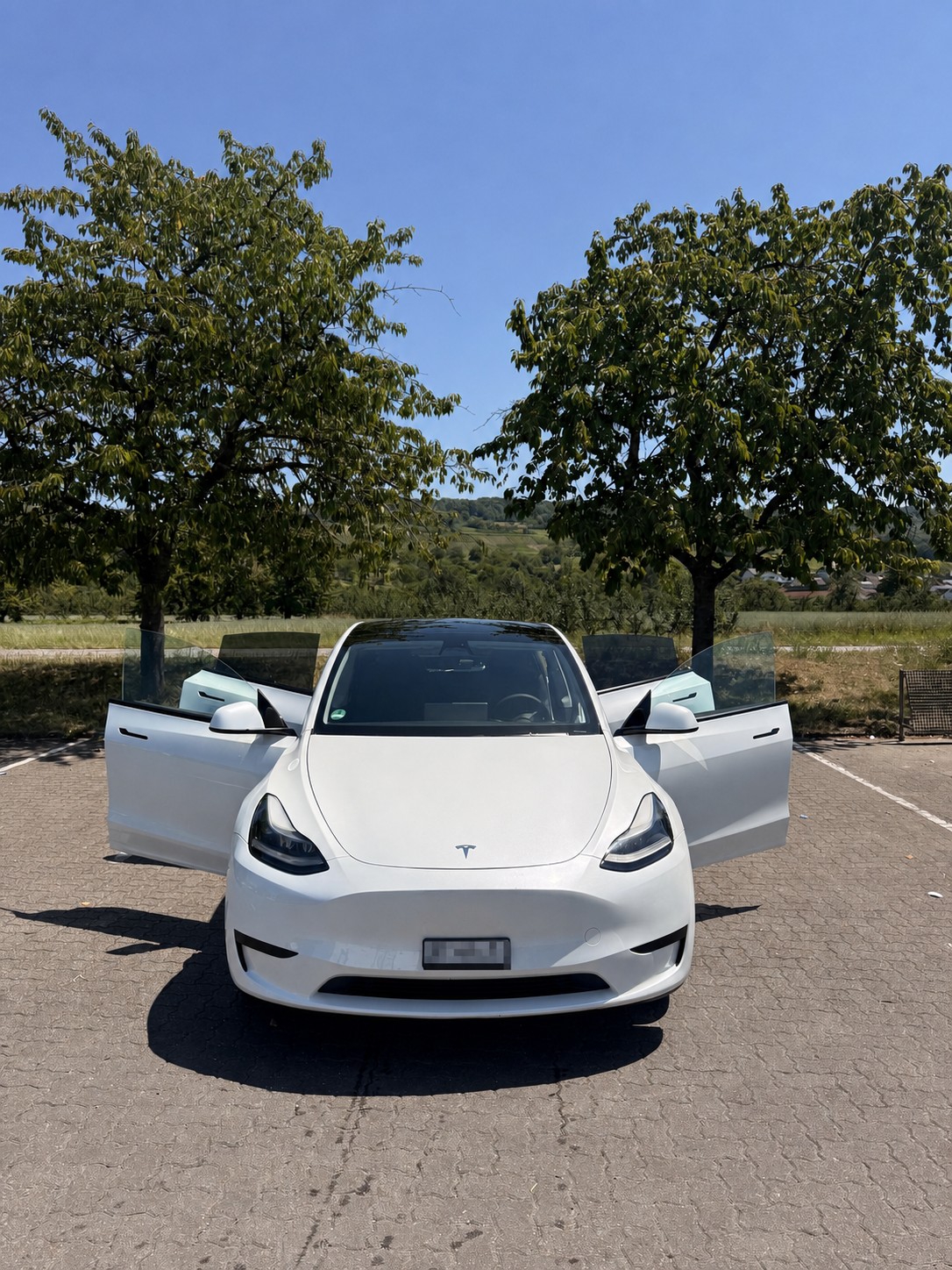 TESLA RWD-image-4