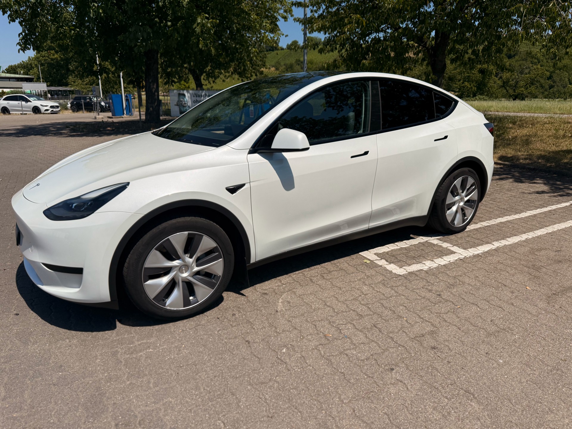 TESLA RWD