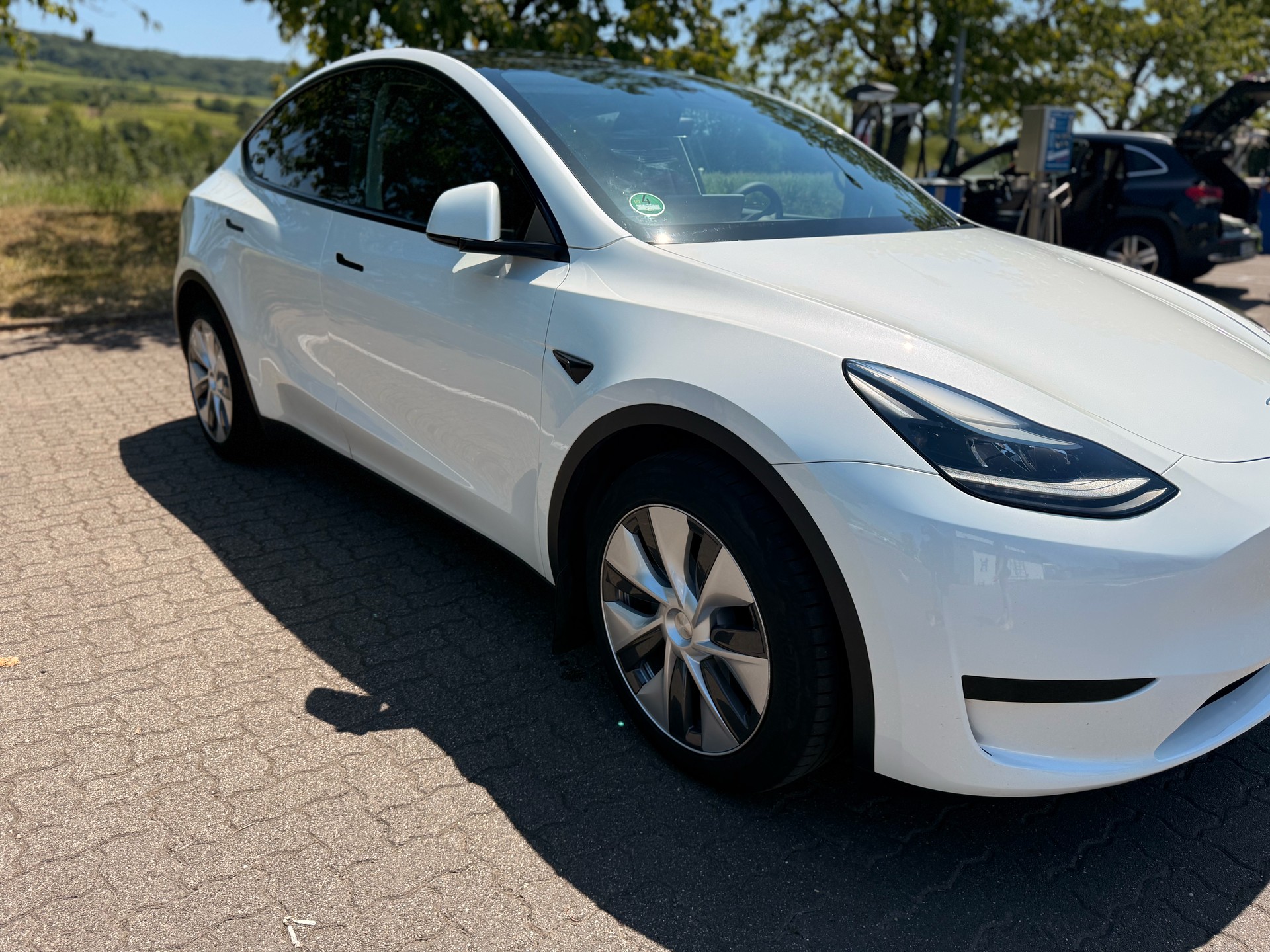 TESLA RWD-image-2