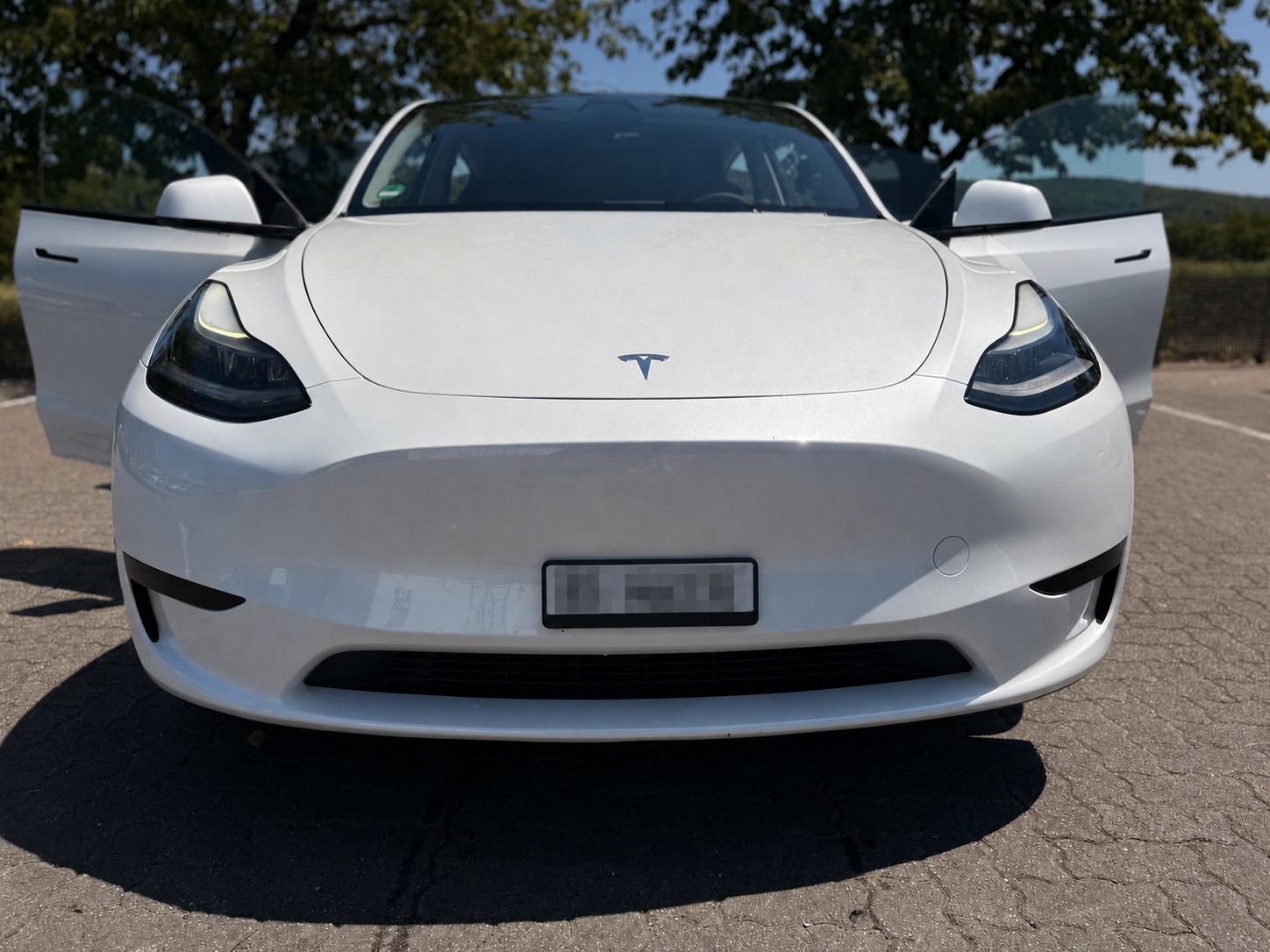 TESLA RWD-image-1