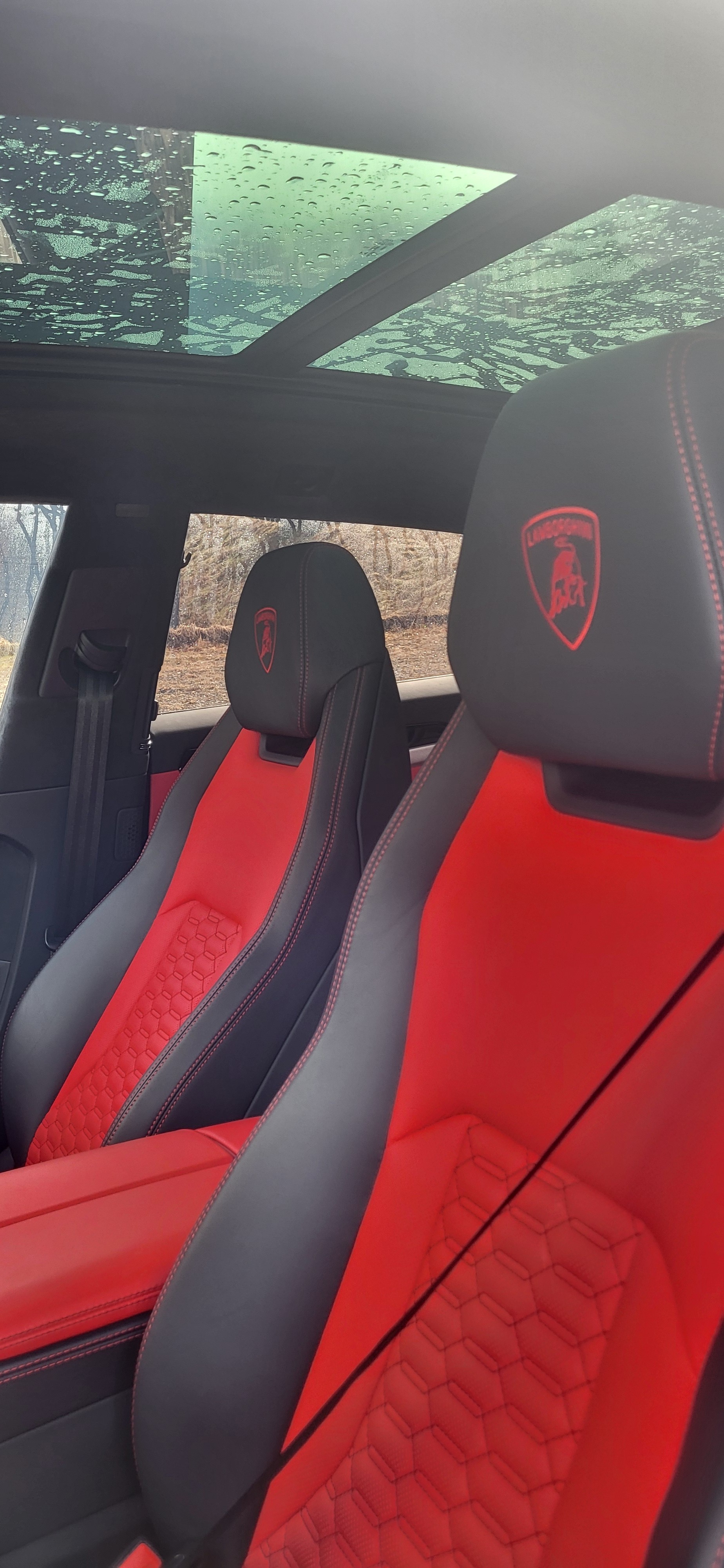 LAMBORGHINI Urus E-Gear-image-13