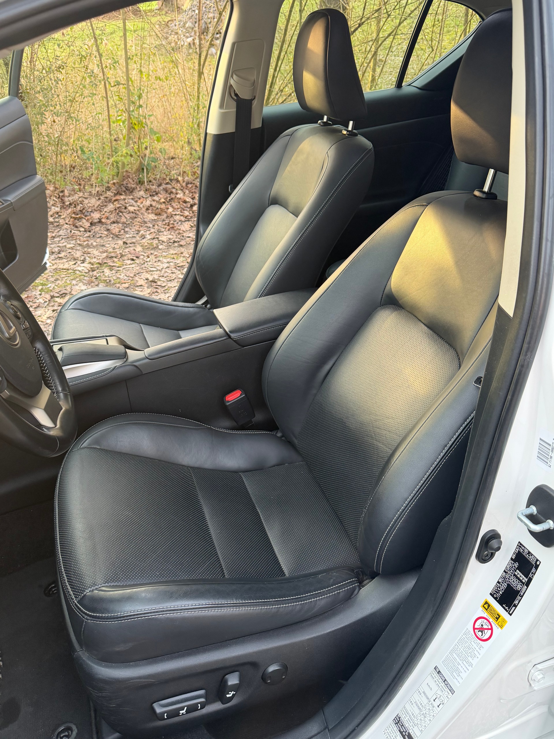 LEXUS CT 200h 1.8 excellence CVT-image-10