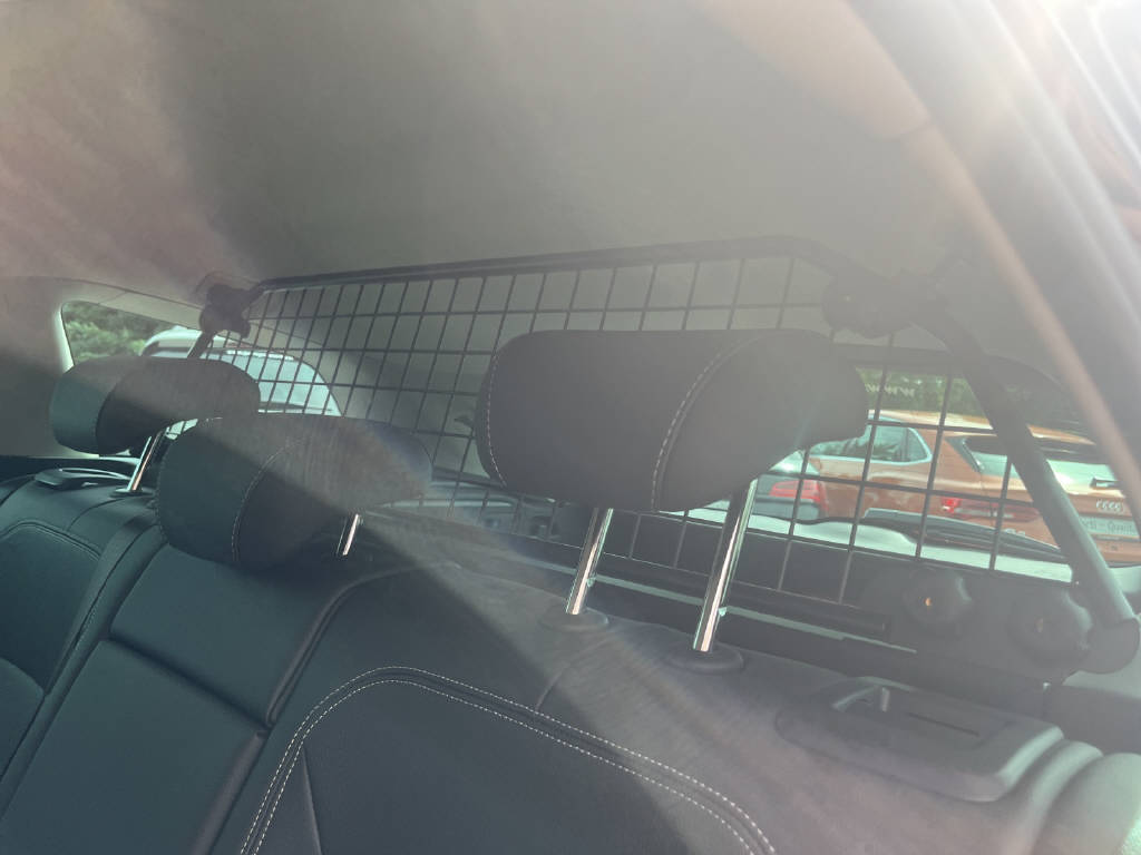 OPEL Insignia Sports Tourer 1.5 T Excellence-image-19