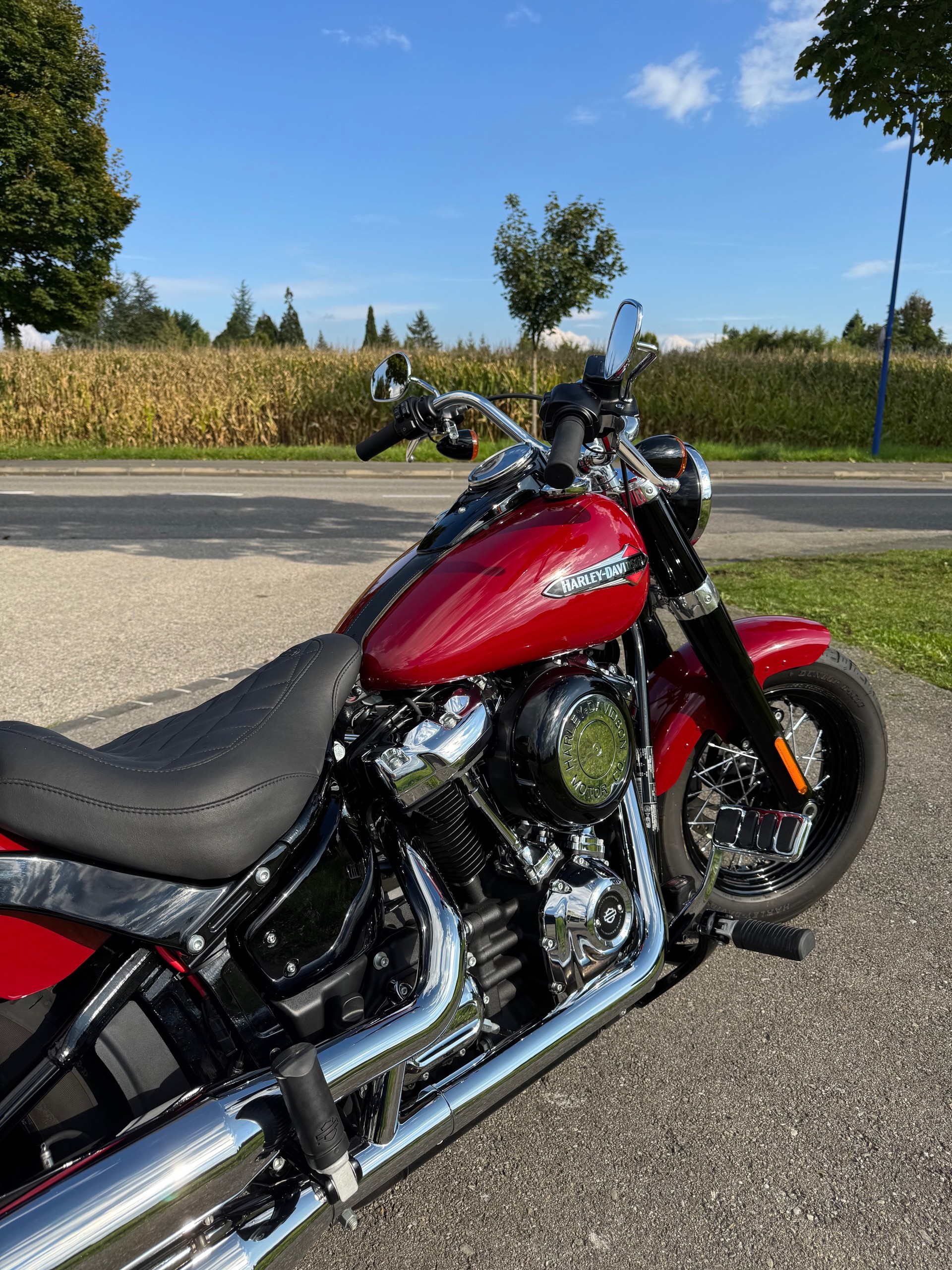 HARLEY-DAVIDSON FLSL Softail Slim 107-image-3