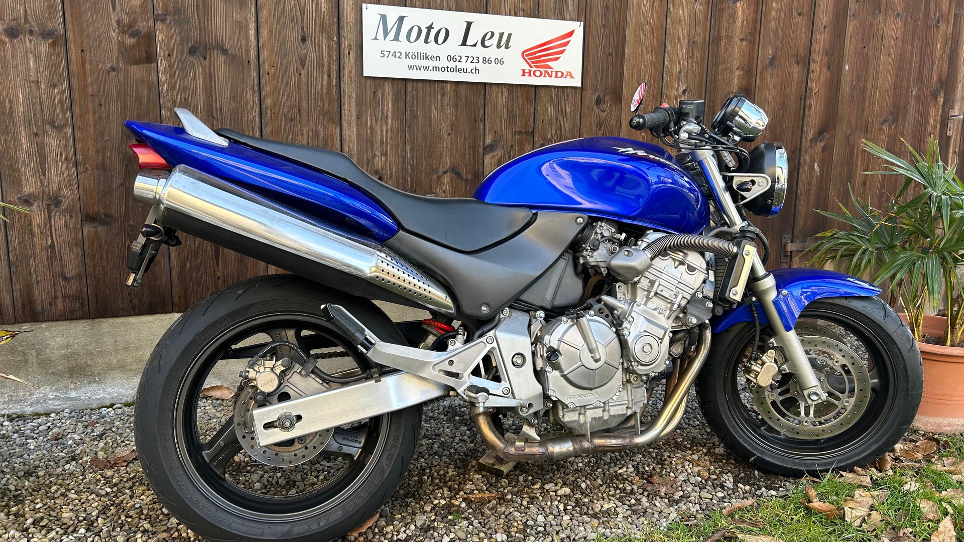 HONDA CB 600 F Hornet-image-10