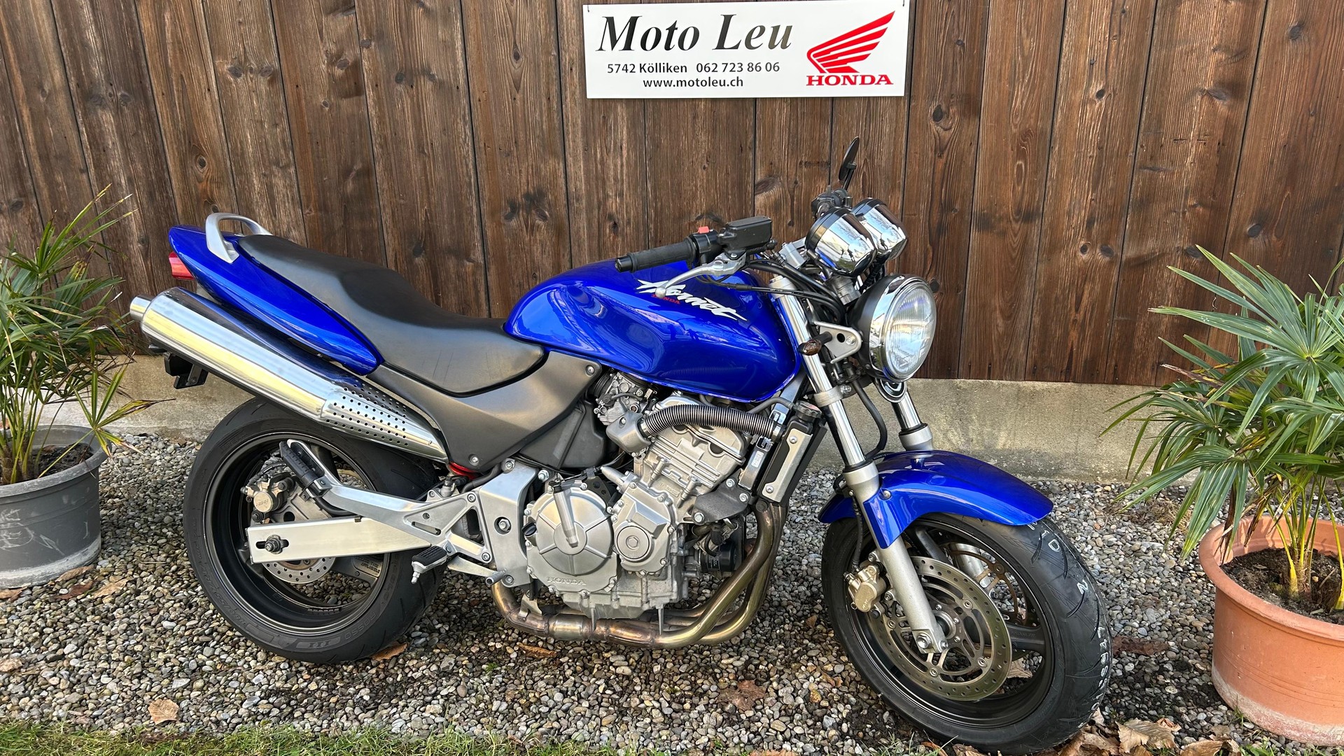 HONDA CB 600 F Hornet-image-12