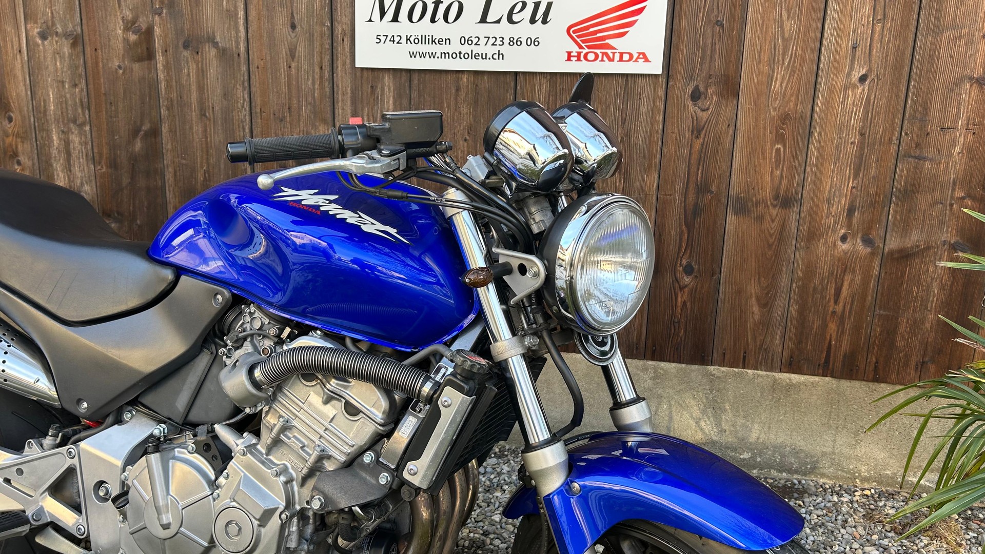 HONDA CB 600 F Hornet-image-8