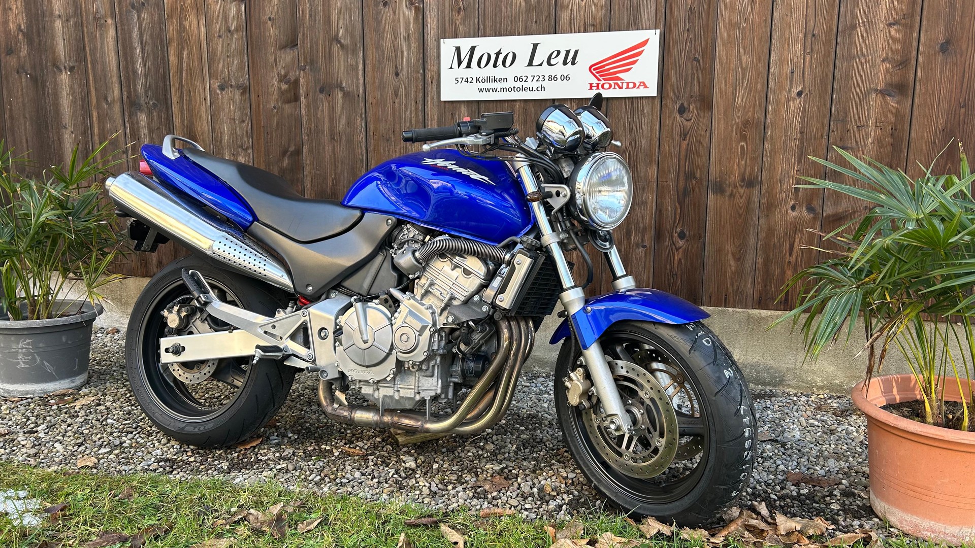 HONDA CB 600 F Hornet-image-9