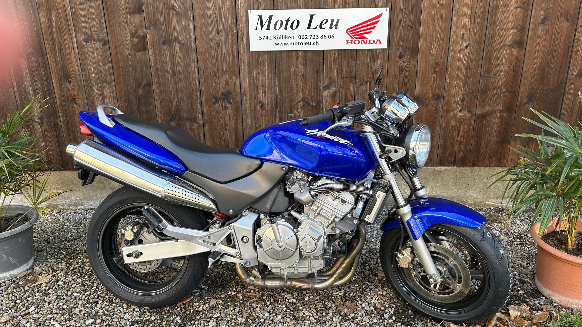HONDA CB 600 F Hornet-image-13