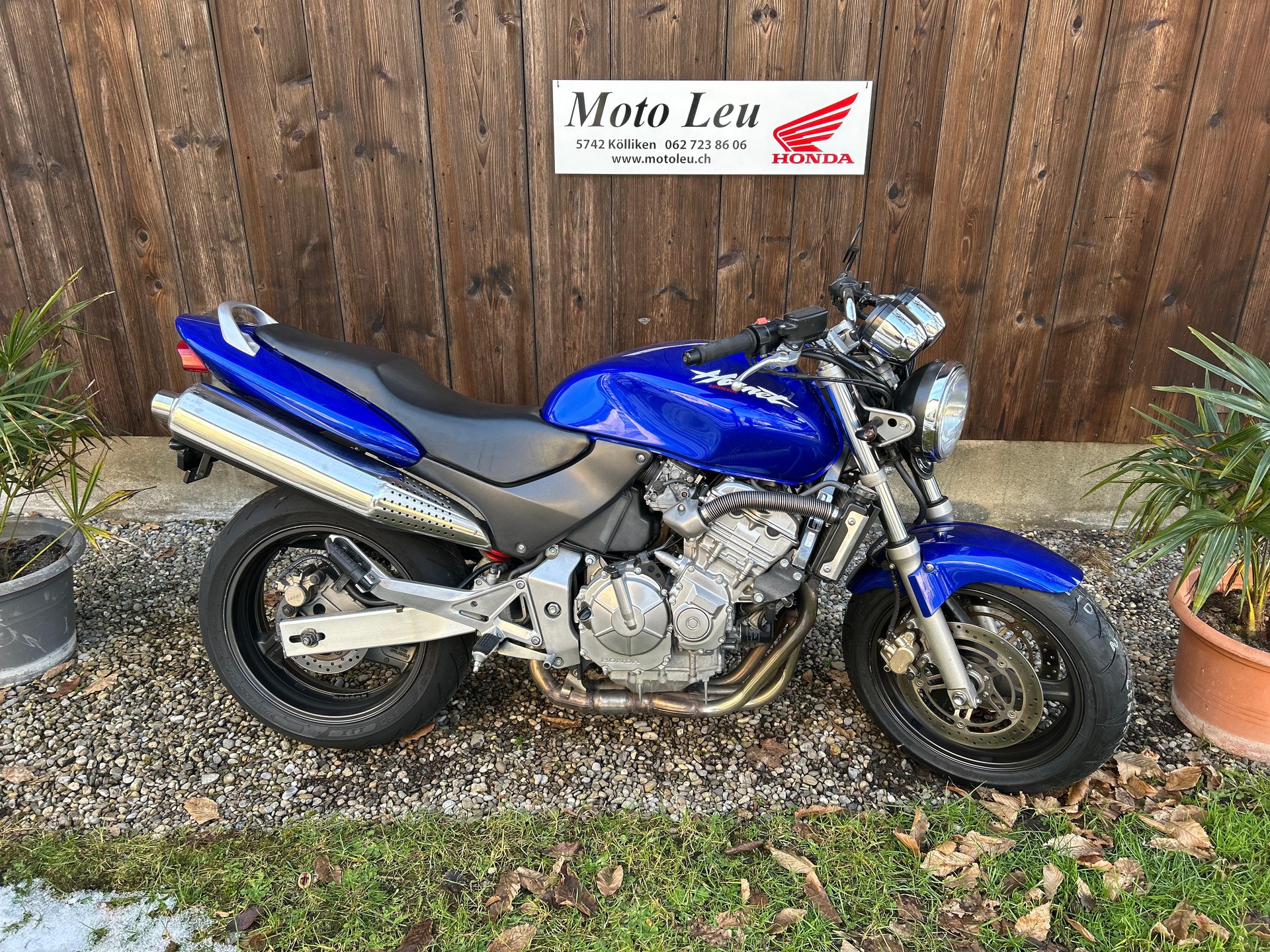 HONDA CB 600 F Hornet-image-1
