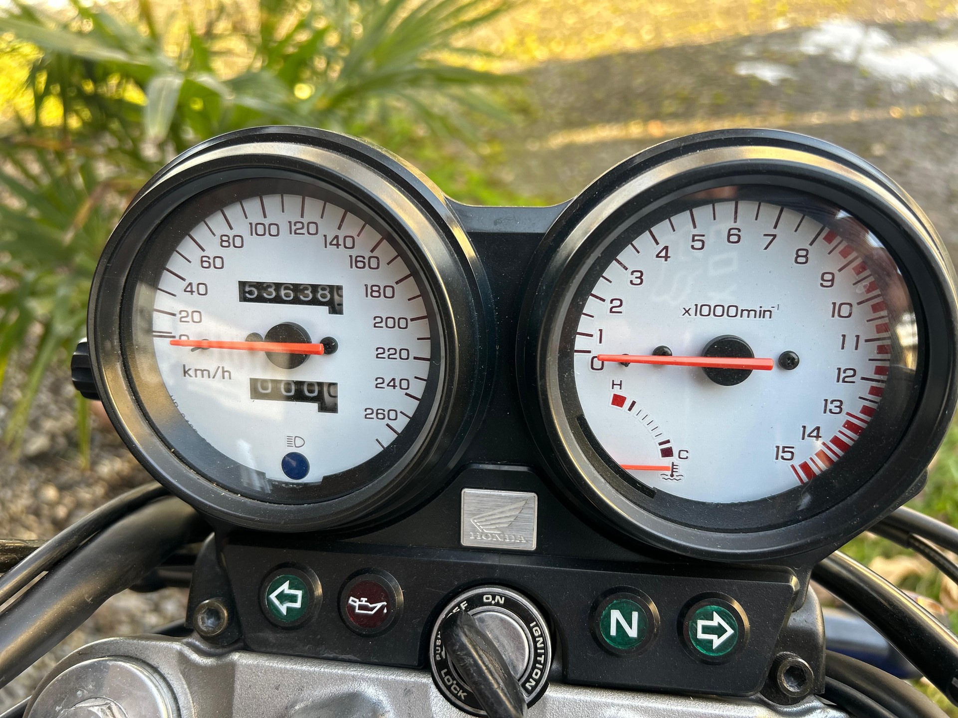 HONDA CB 600 F Hornet-image-5