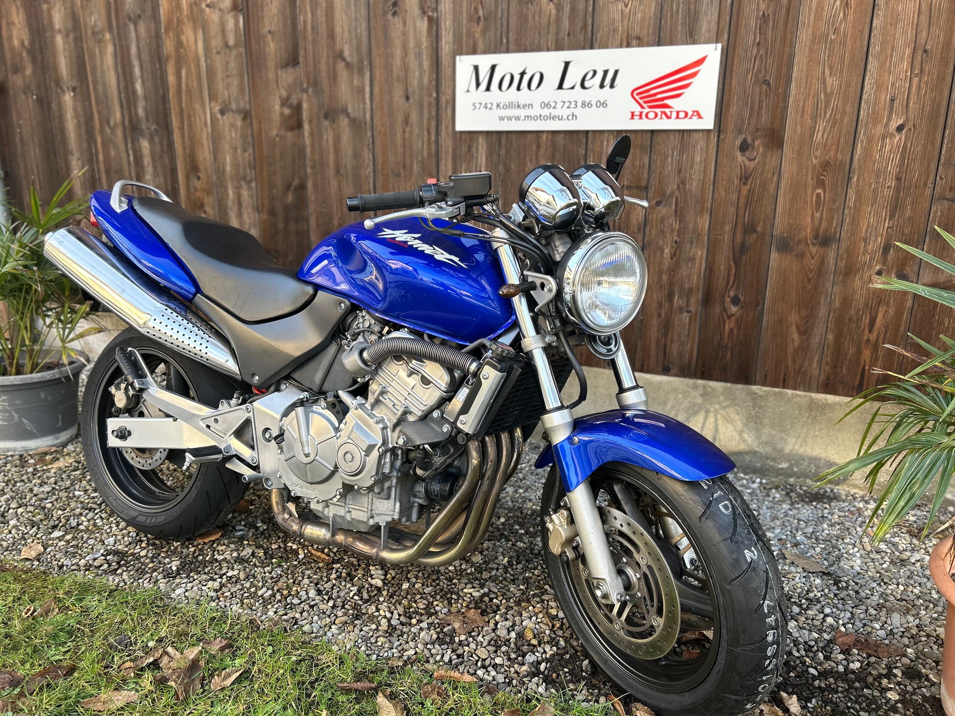 HONDA CB 600 F Hornet-image-0