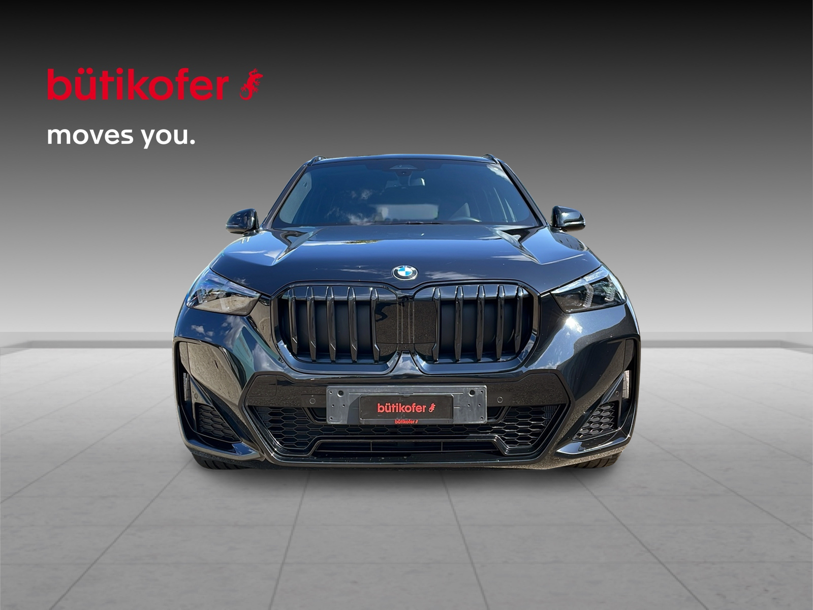 BMW X1 20i sDrive M Sport-showroom-element-1