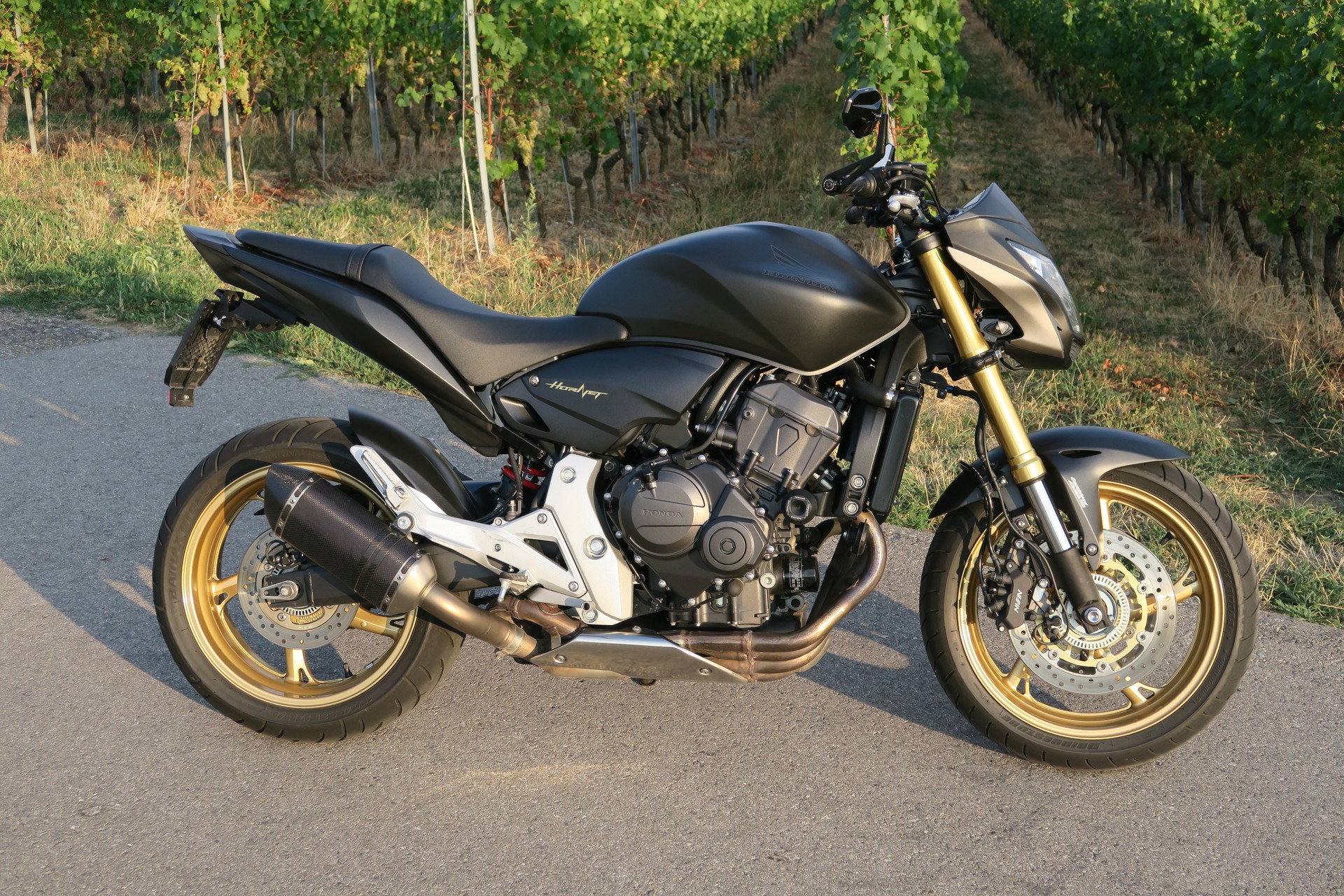 HONDA CB 600 F ABS Hornet-image-8