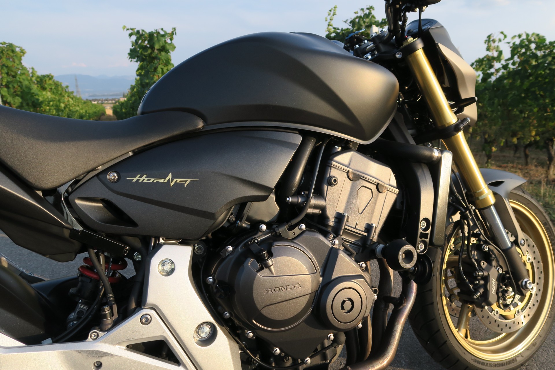 HONDA CB 600 F ABS Hornet-image-13