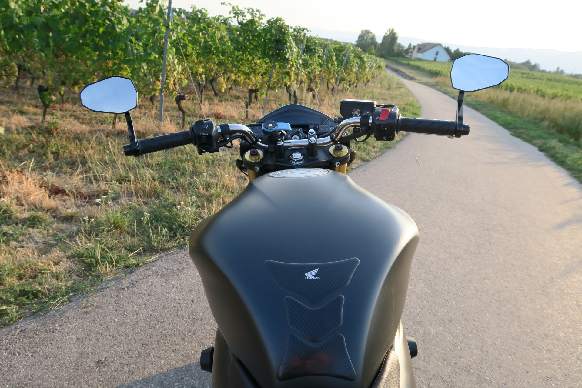 HONDA CB 600 F ABS Hornet-image-9