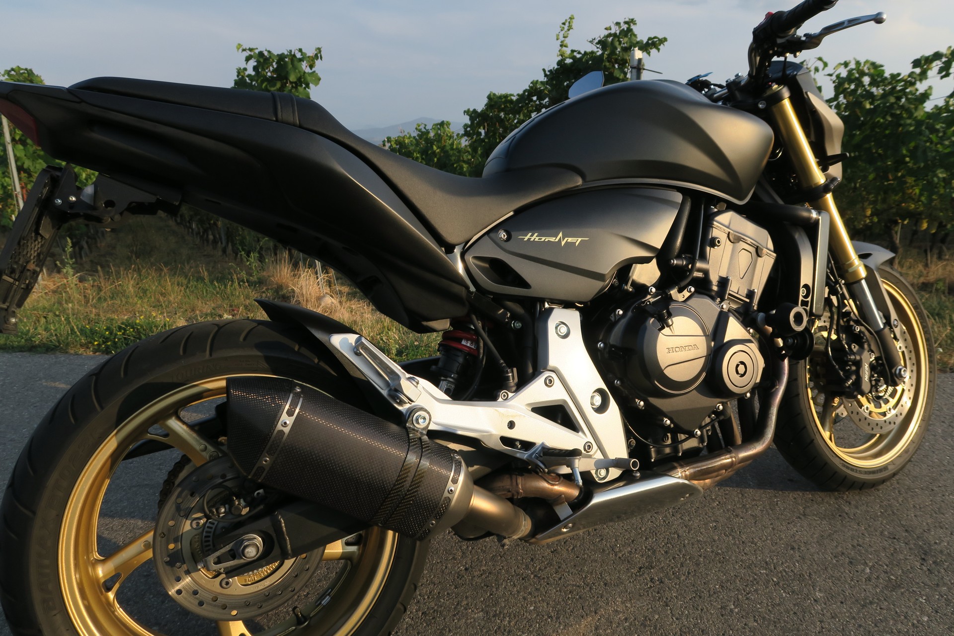 HONDA CB 600 F ABS Hornet-image-12