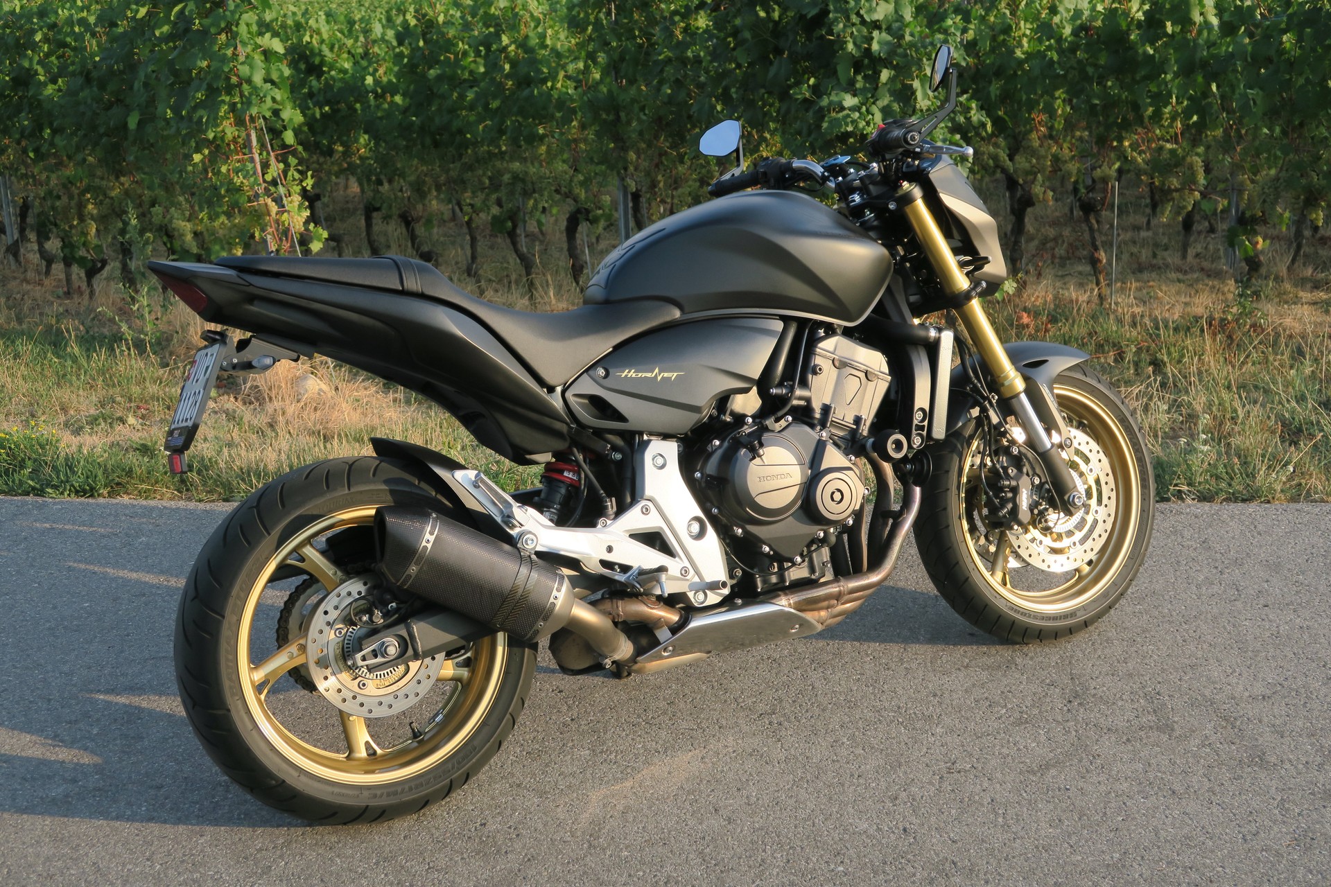 HONDA CB 600 F ABS Hornet-image-11
