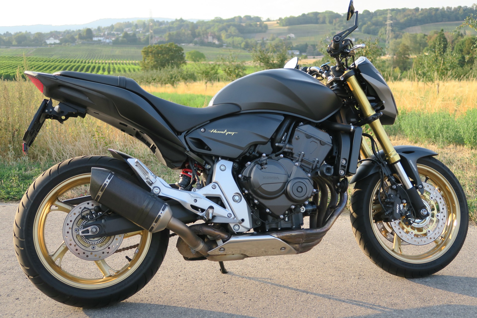 HONDA CB 600 F ABS Hornet-image-7