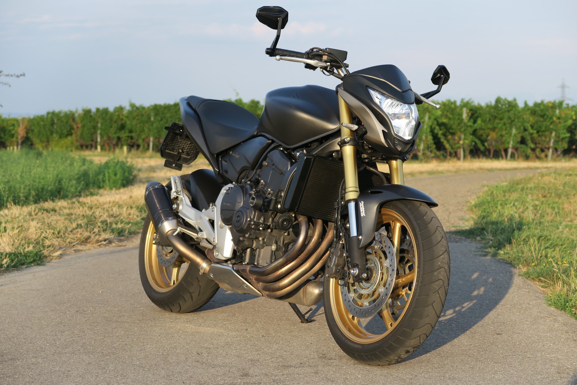HONDA CB 600 F ABS Hornet-image-4