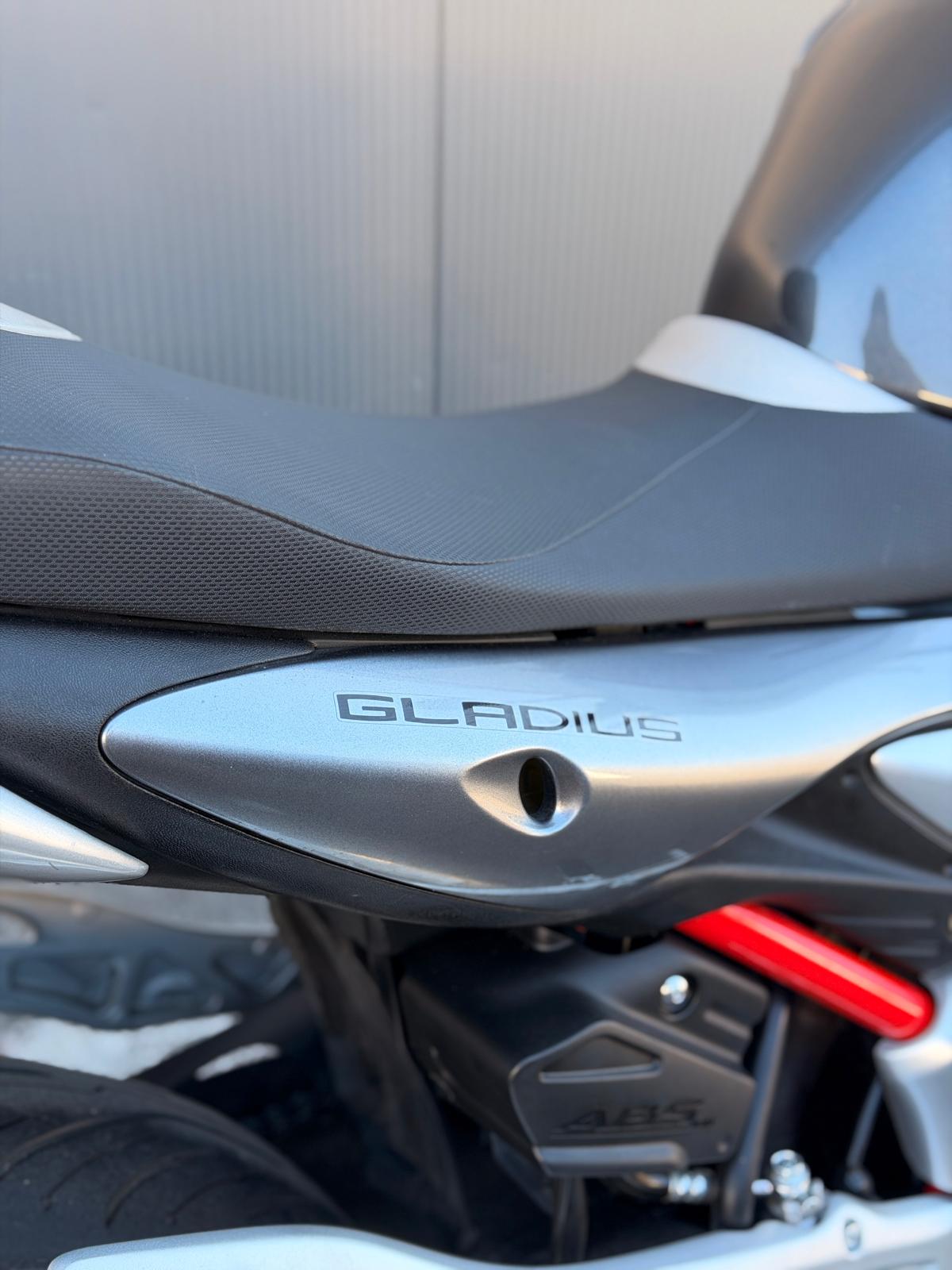 SUZUKI SVF 650 Gladius-image-8