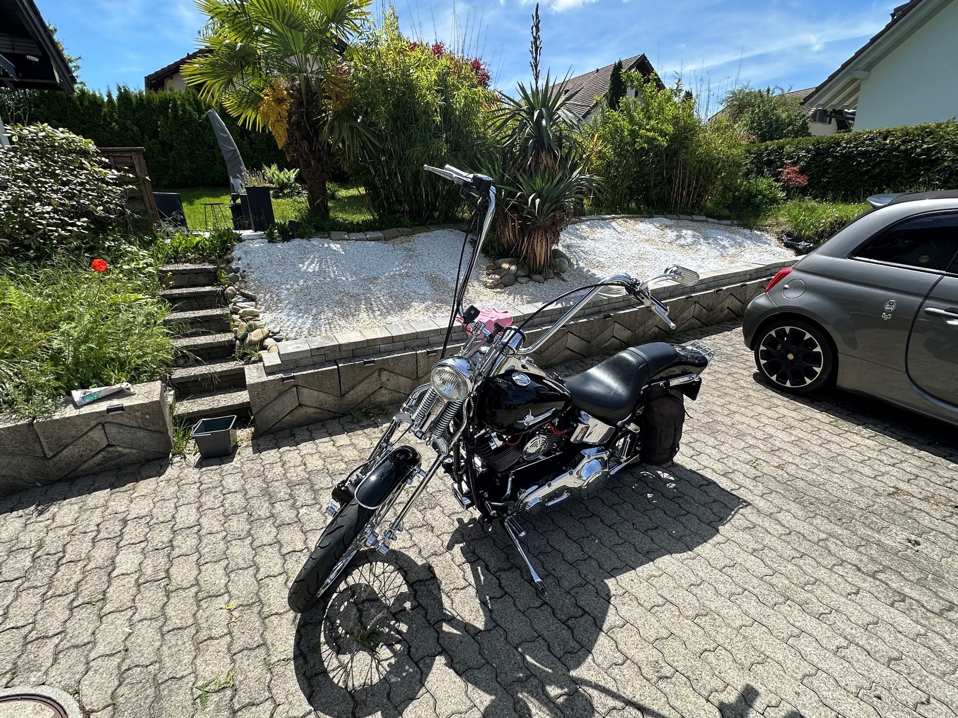 HARLEY-DAVIDSON FXSTS Springer Softail-image-4