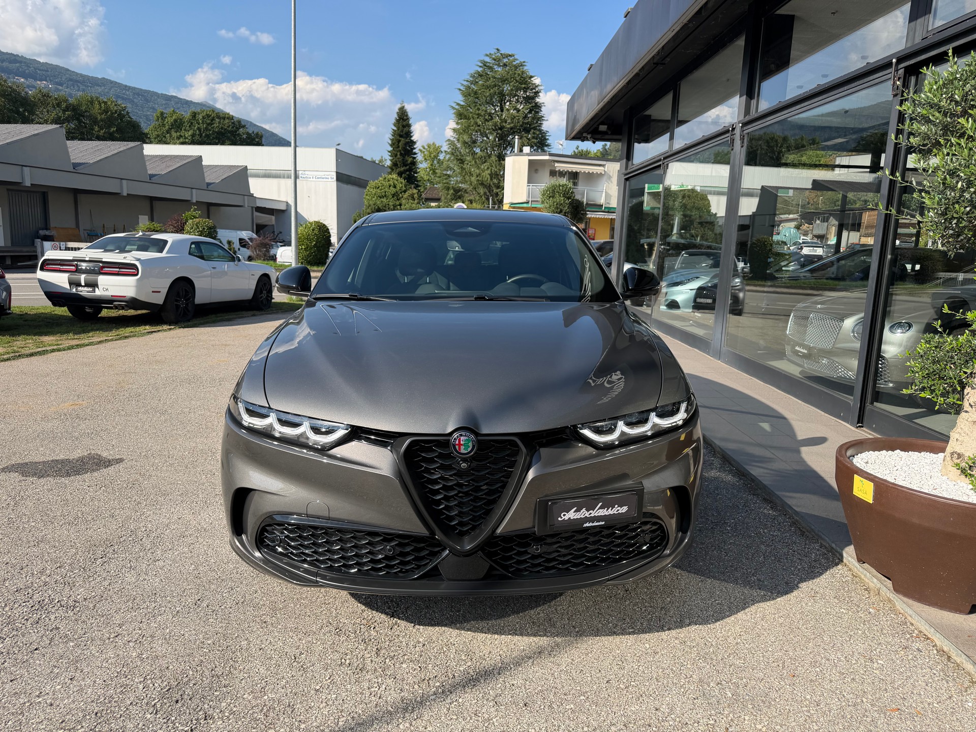 ALFA ROMEO Tonale 1.3 Plug-in-Hybrid Q4 Veloce-showroom-element-1