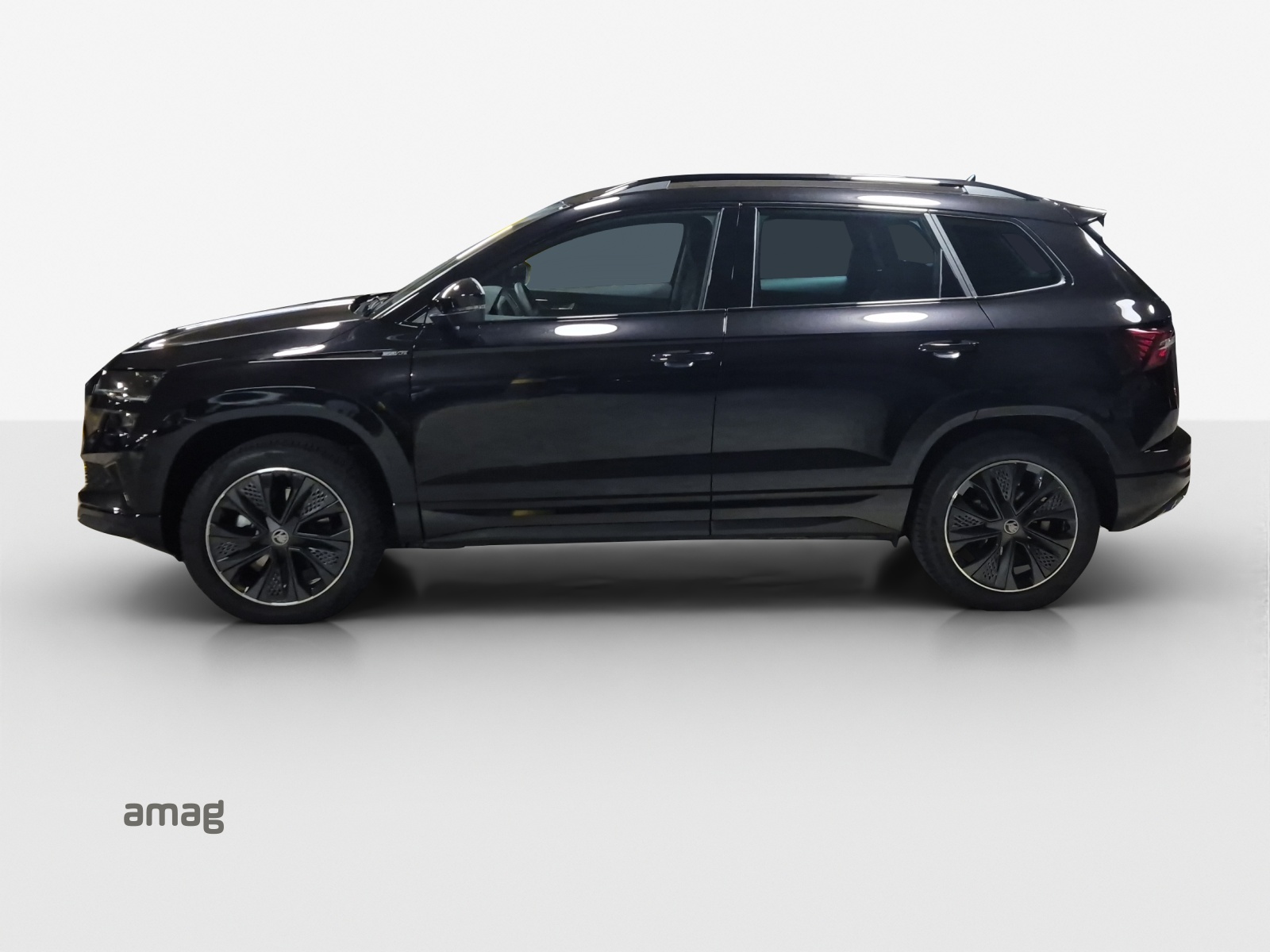 SKODA Karoq 2.0 TSI Dynamic Limited Edition 4x4 DSG-showroom-element-1