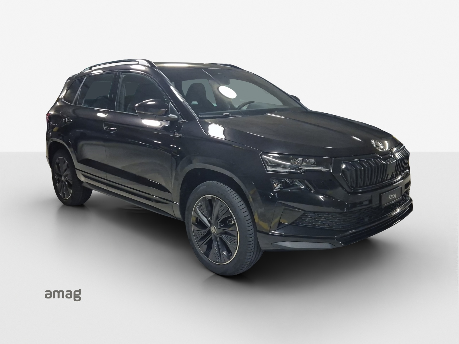 SKODA Karoq 2.0 TSI Dynamic Limited Edition 4x4 DSG-image-5