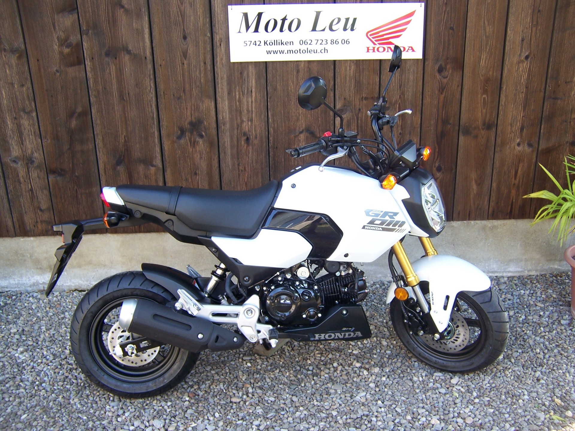 HONDA MSX 125-showroom-element-1