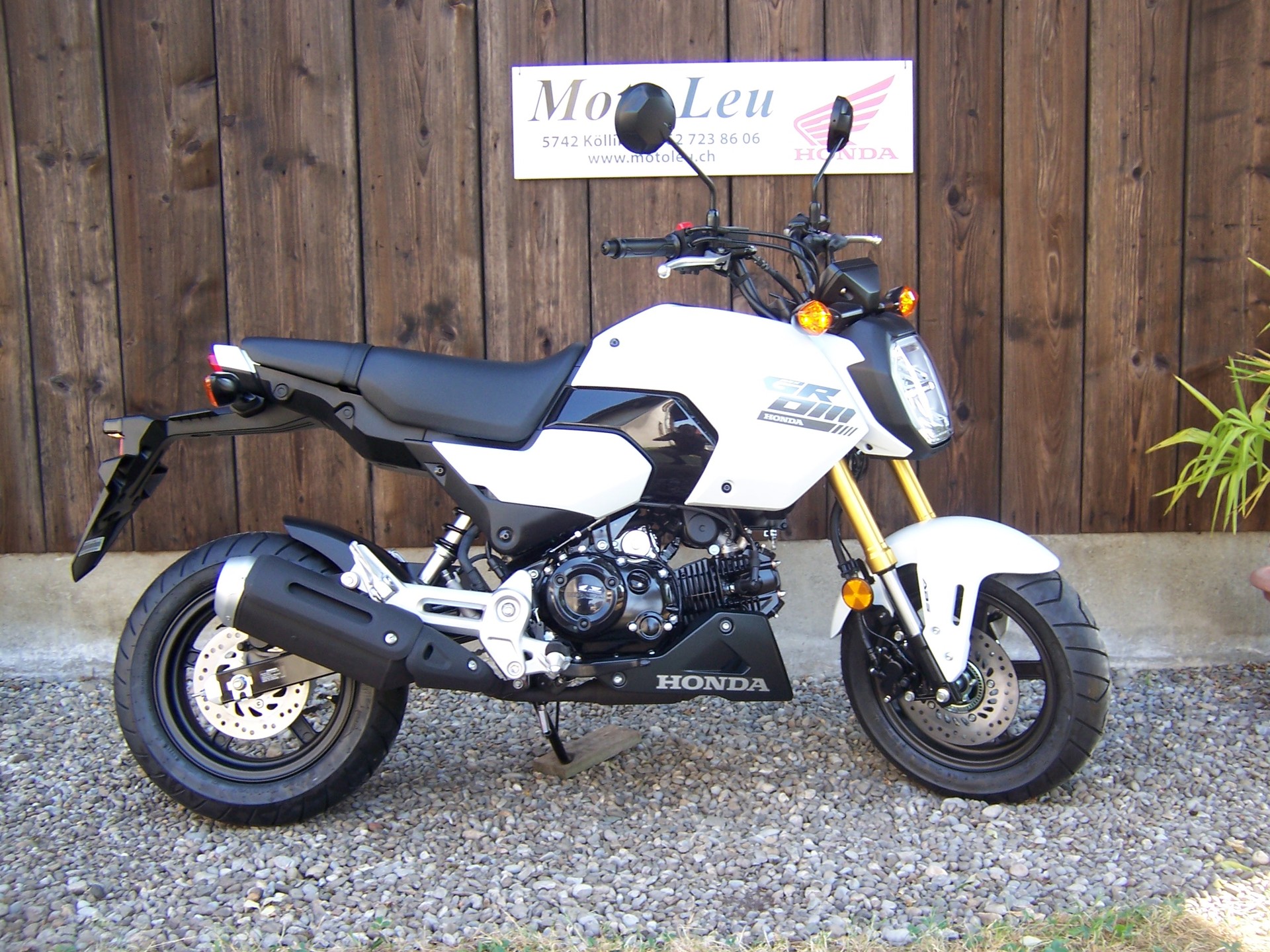 HONDA MSX 125-image-5