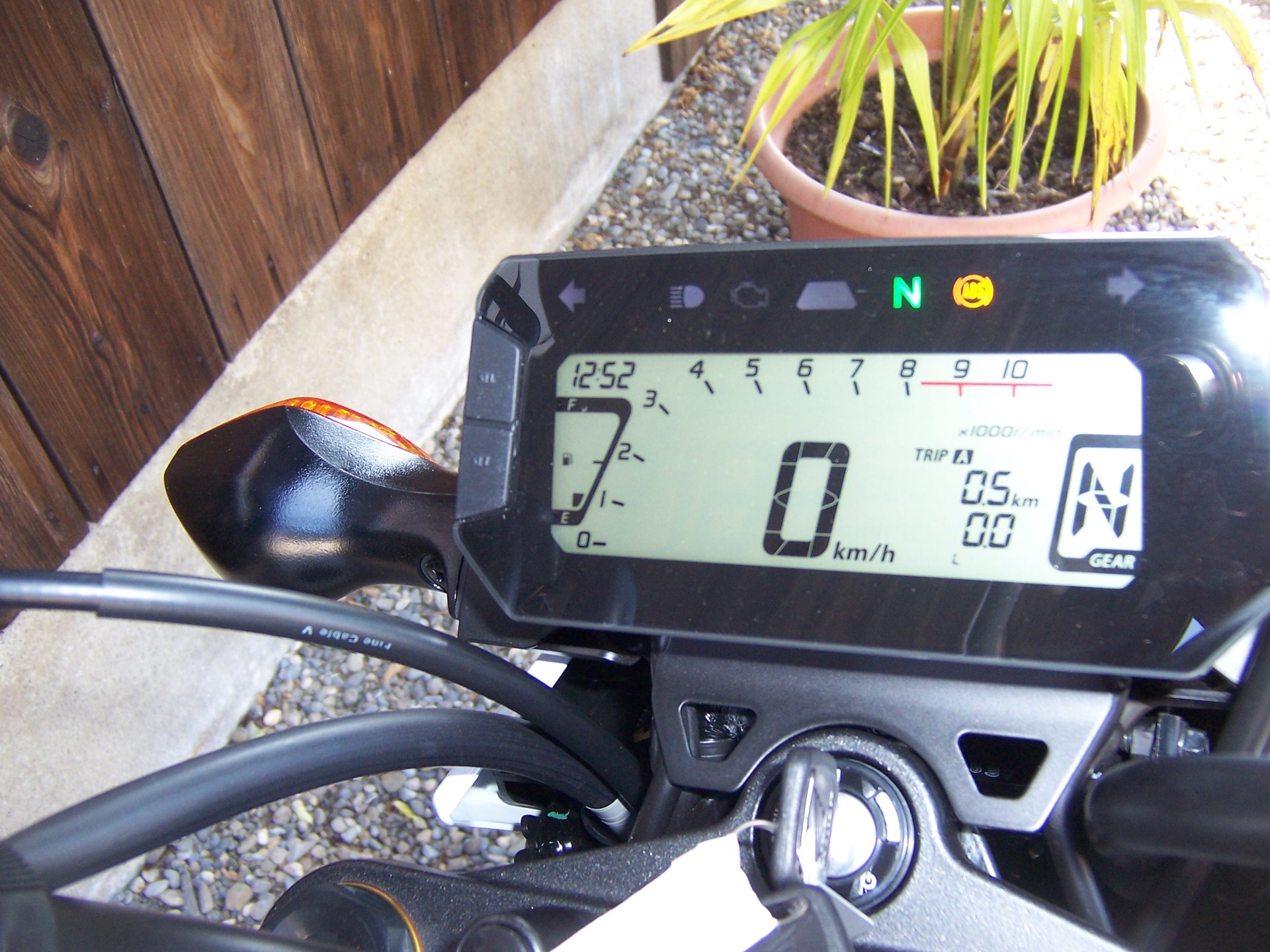 HONDA MSX 125-image-7