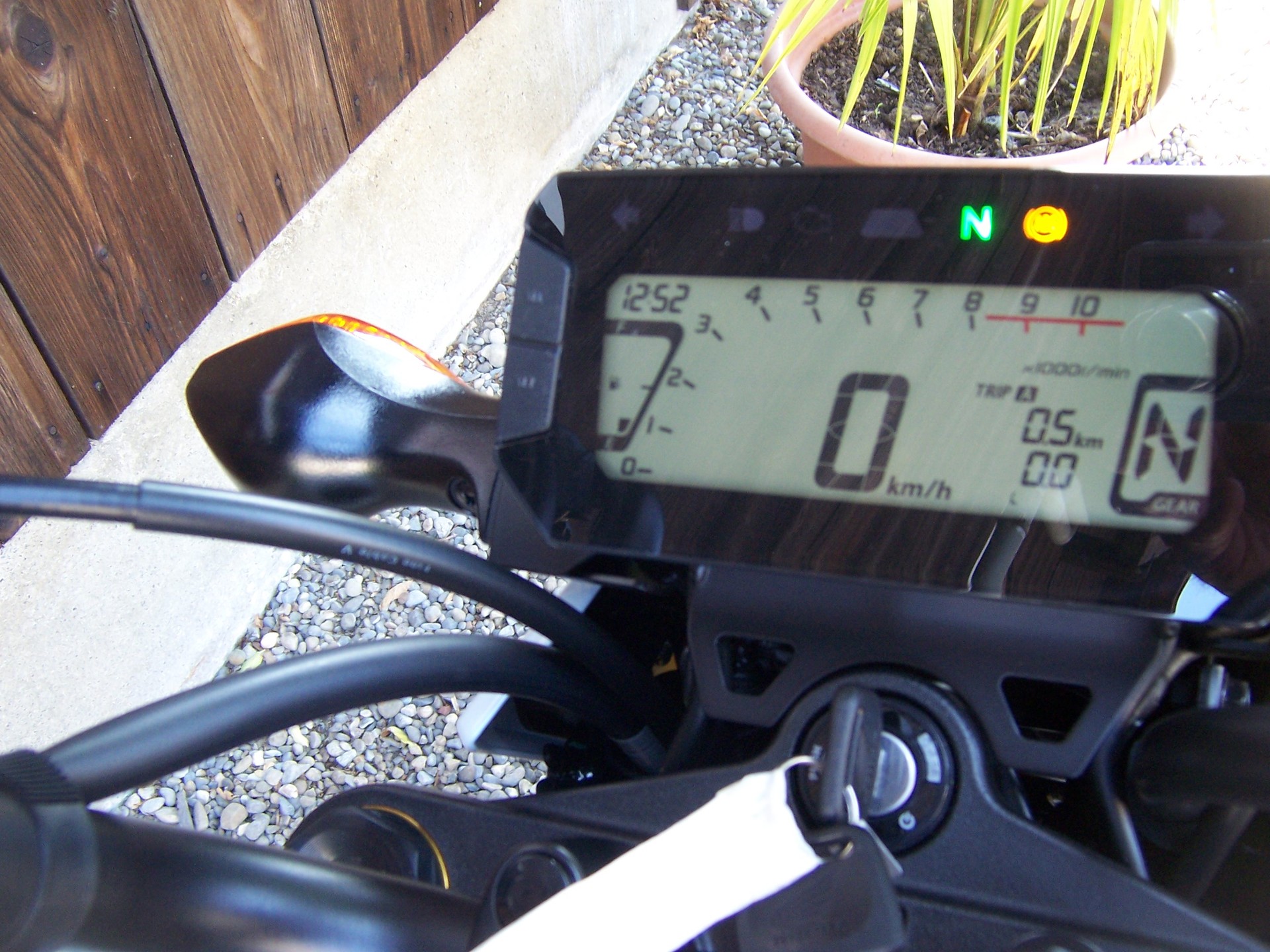 HONDA MSX 125-image-8