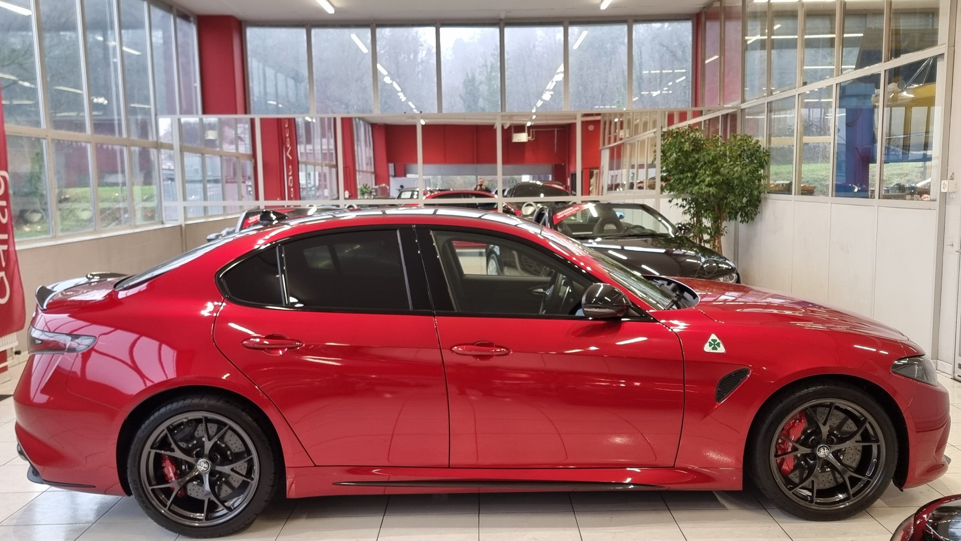 ALFA ROMEO Giulia 2.9 V6 Biturbo Quadrifoglio Competizione-image-5