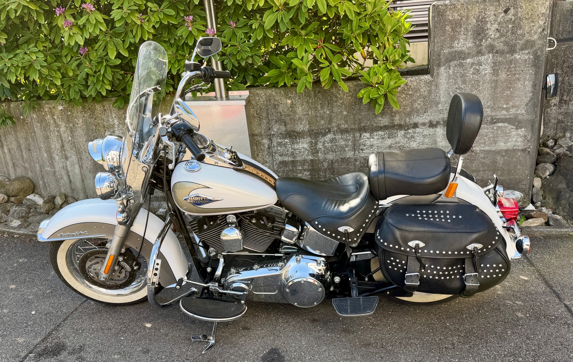HARLEY-DAVIDSON FLSTCI Softail Classic-image-3