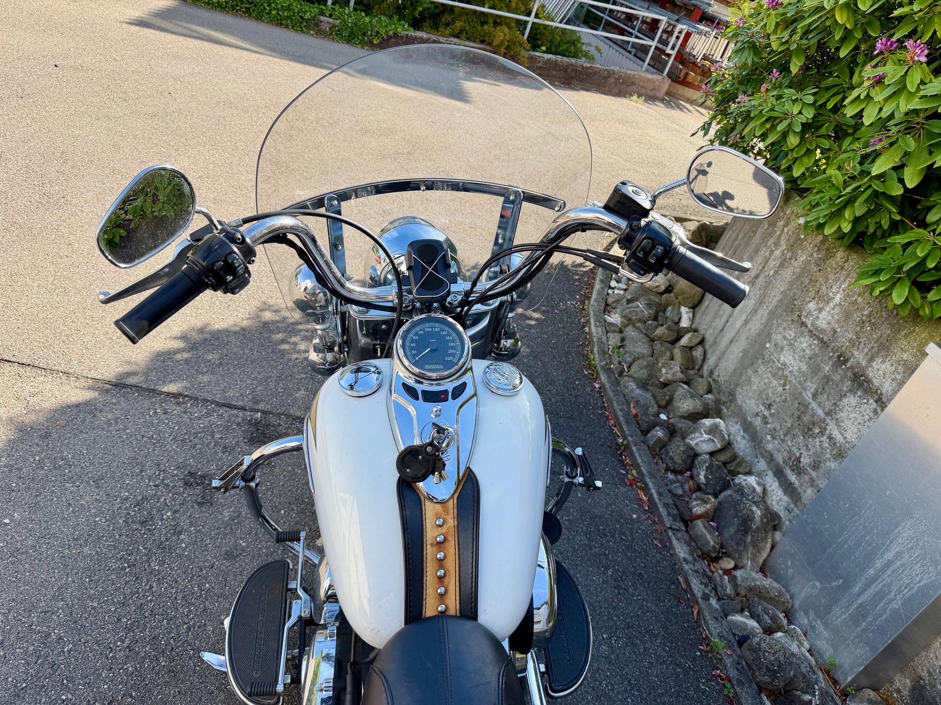 HARLEY-DAVIDSON FLSTCI Softail Classic-image-6