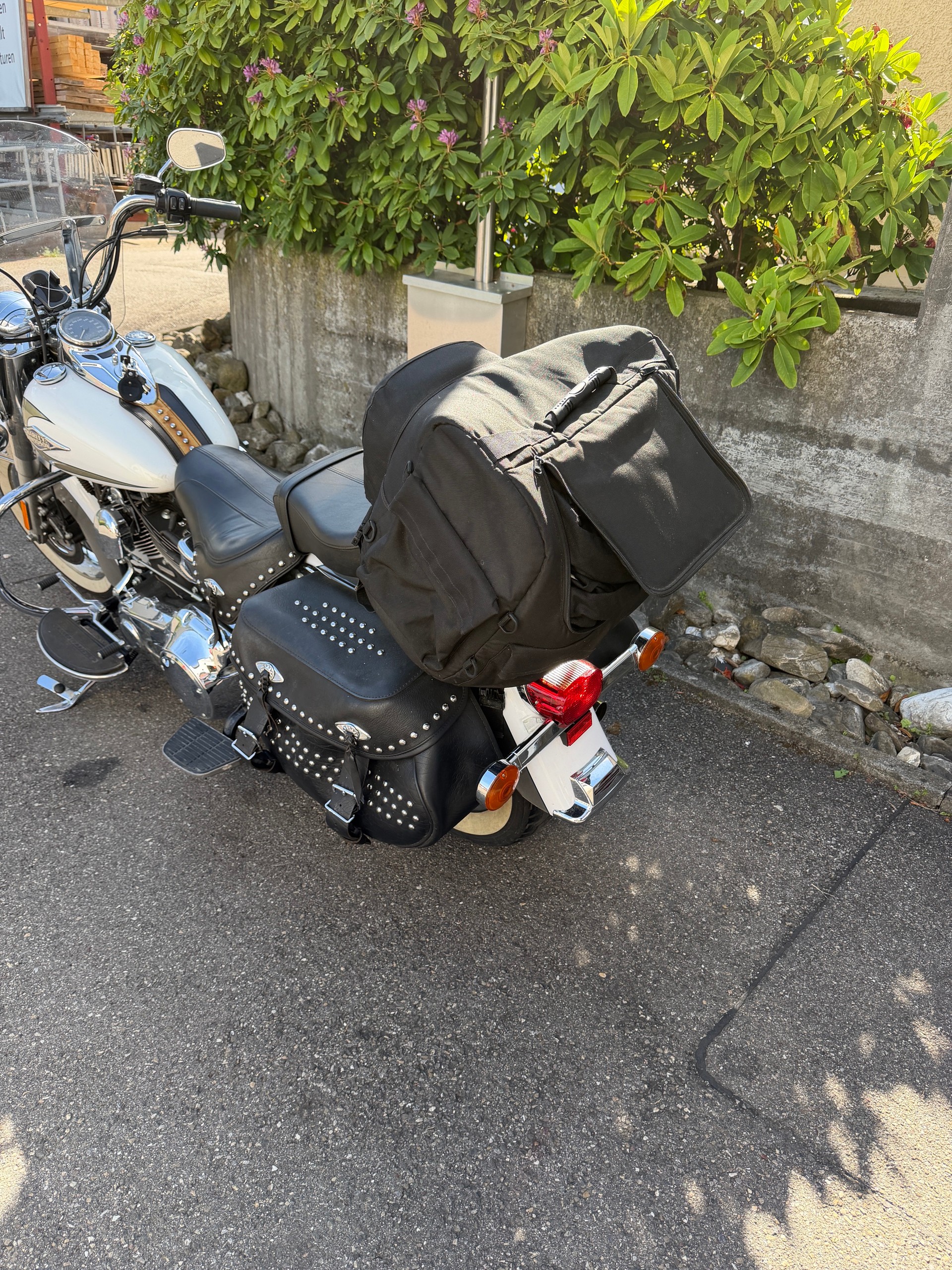 HARLEY-DAVIDSON FLSTCI Softail Classic-image-5