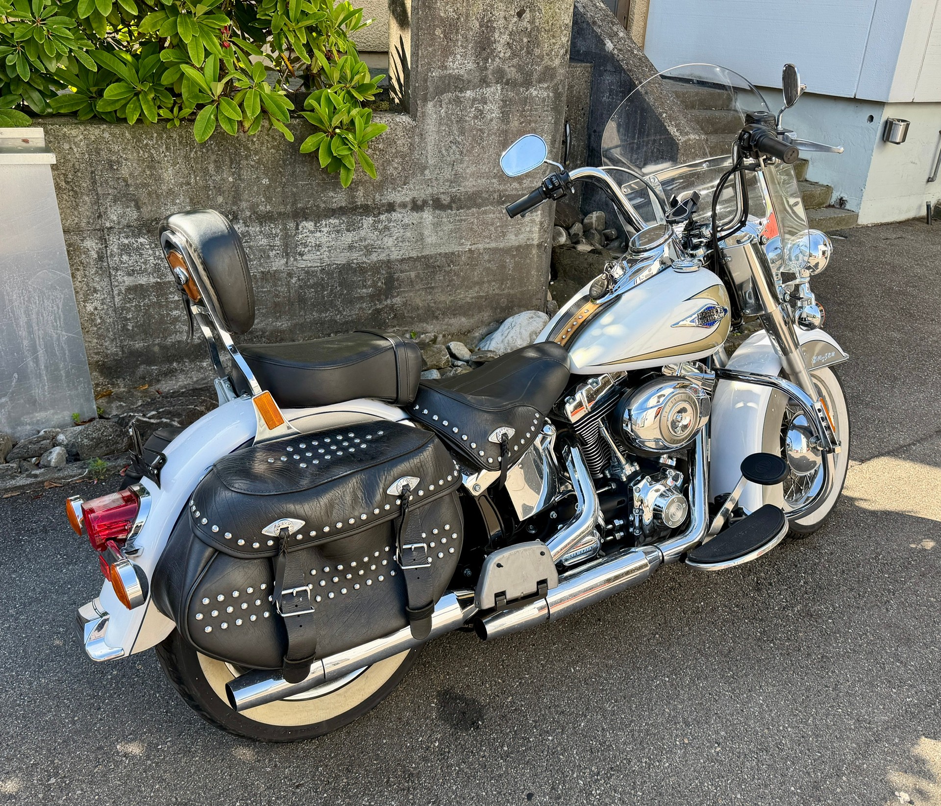 HARLEY-DAVIDSON FLSTCI Softail Classic-image-2